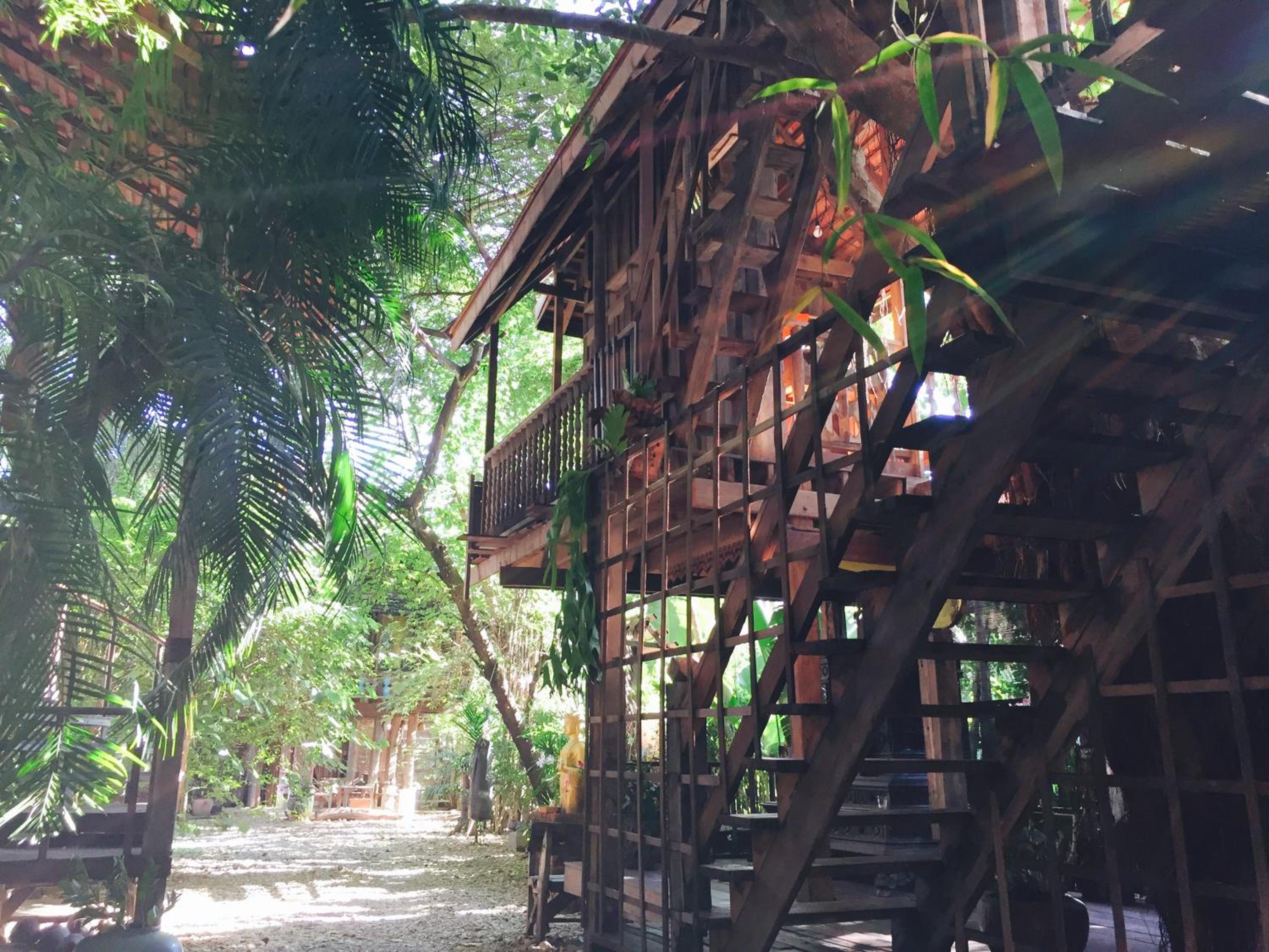 Tree House In The City Plus Lanna Herbal Steam - Photo 9