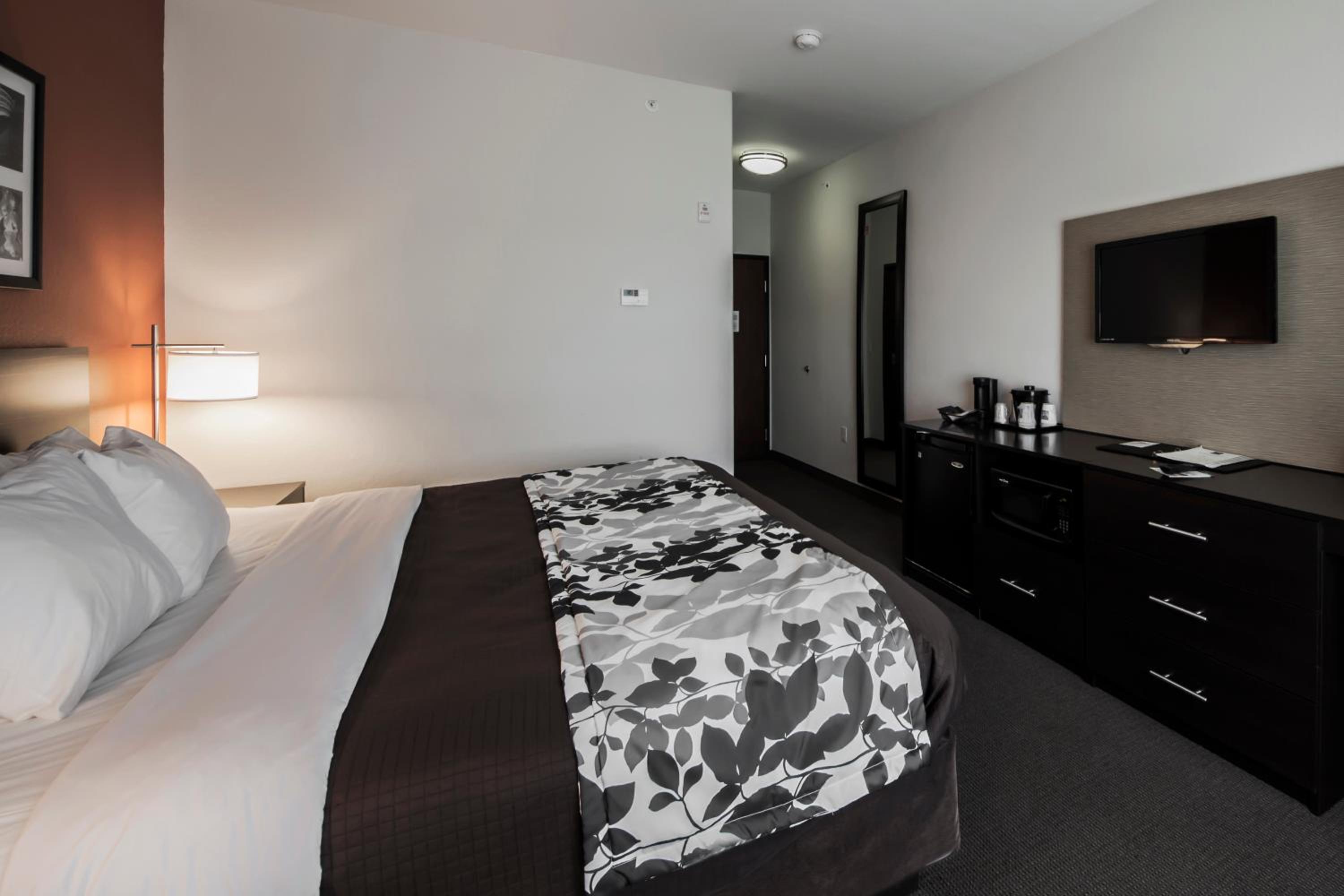 King Room - Non-Smoking
