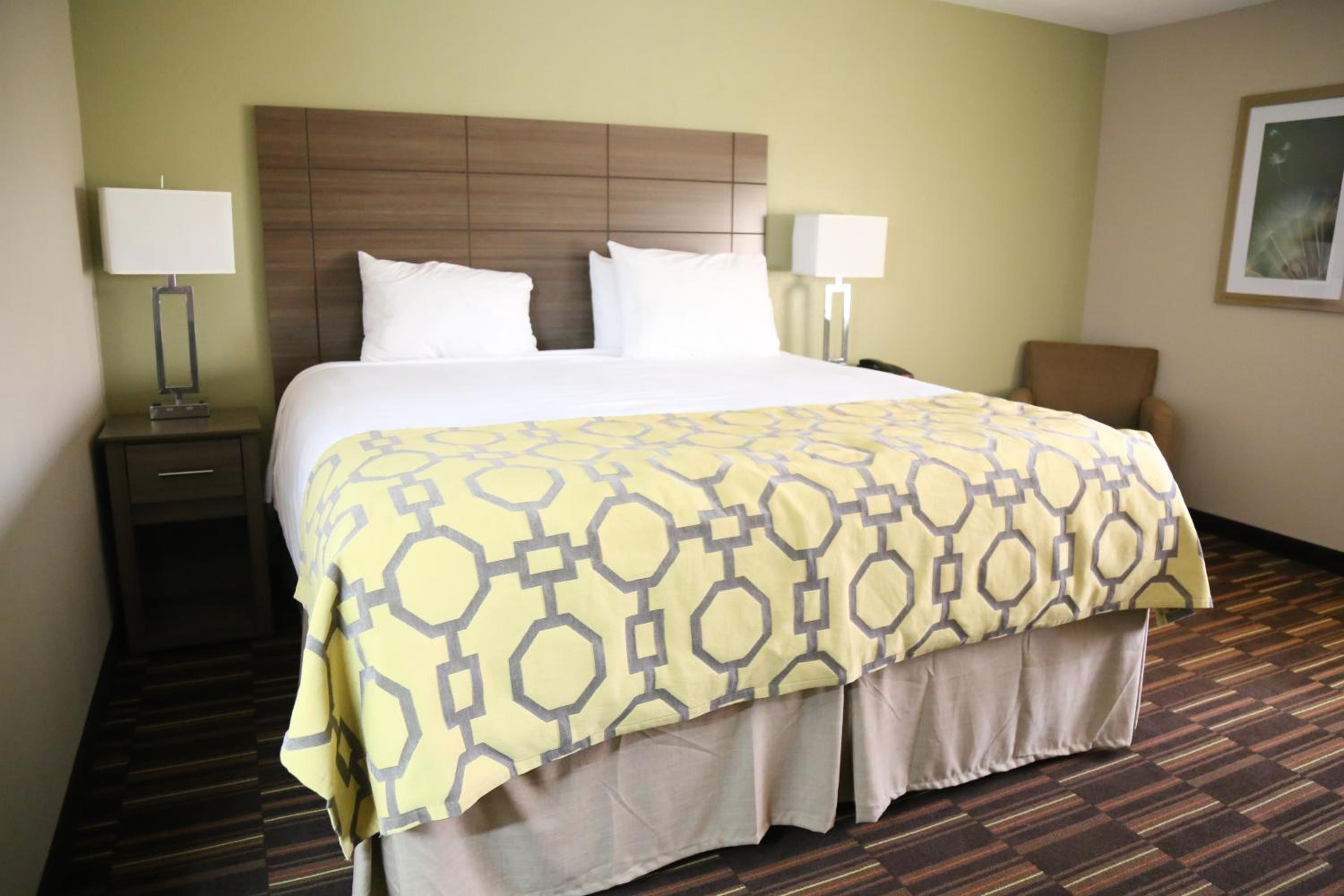 King Room - Non-Smoking - Photo 6