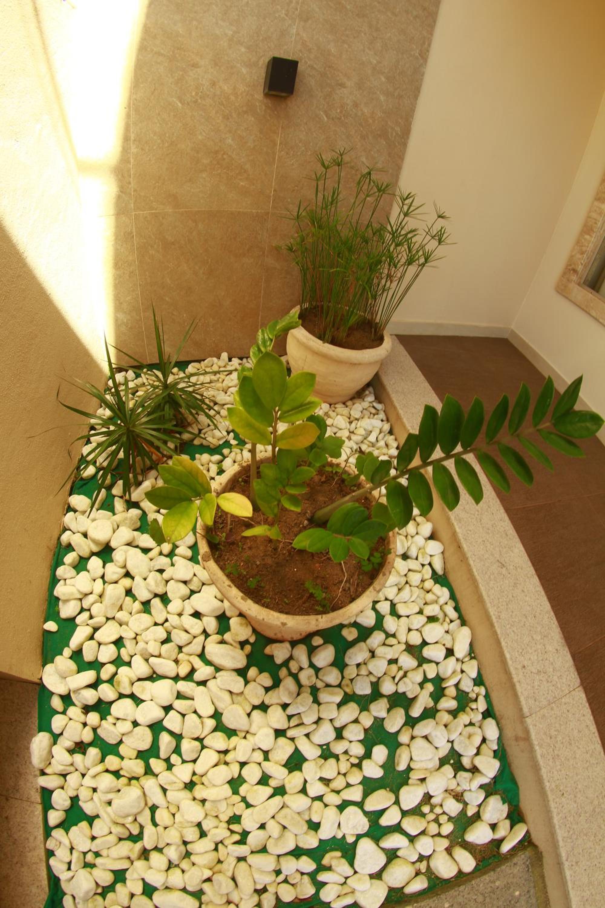 Double Room With Balcony photo 2