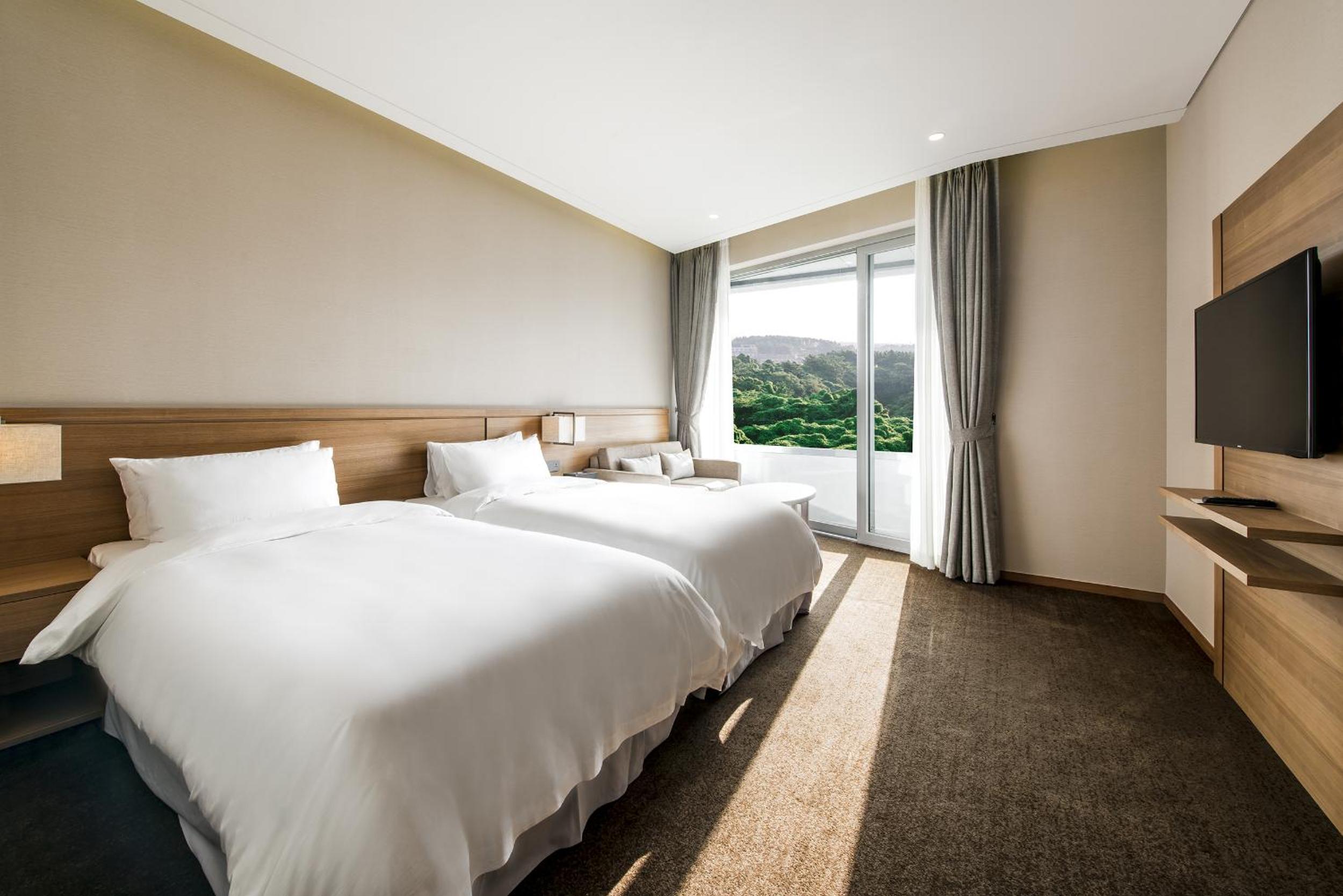 Deluxe Twin Room with Panorama View