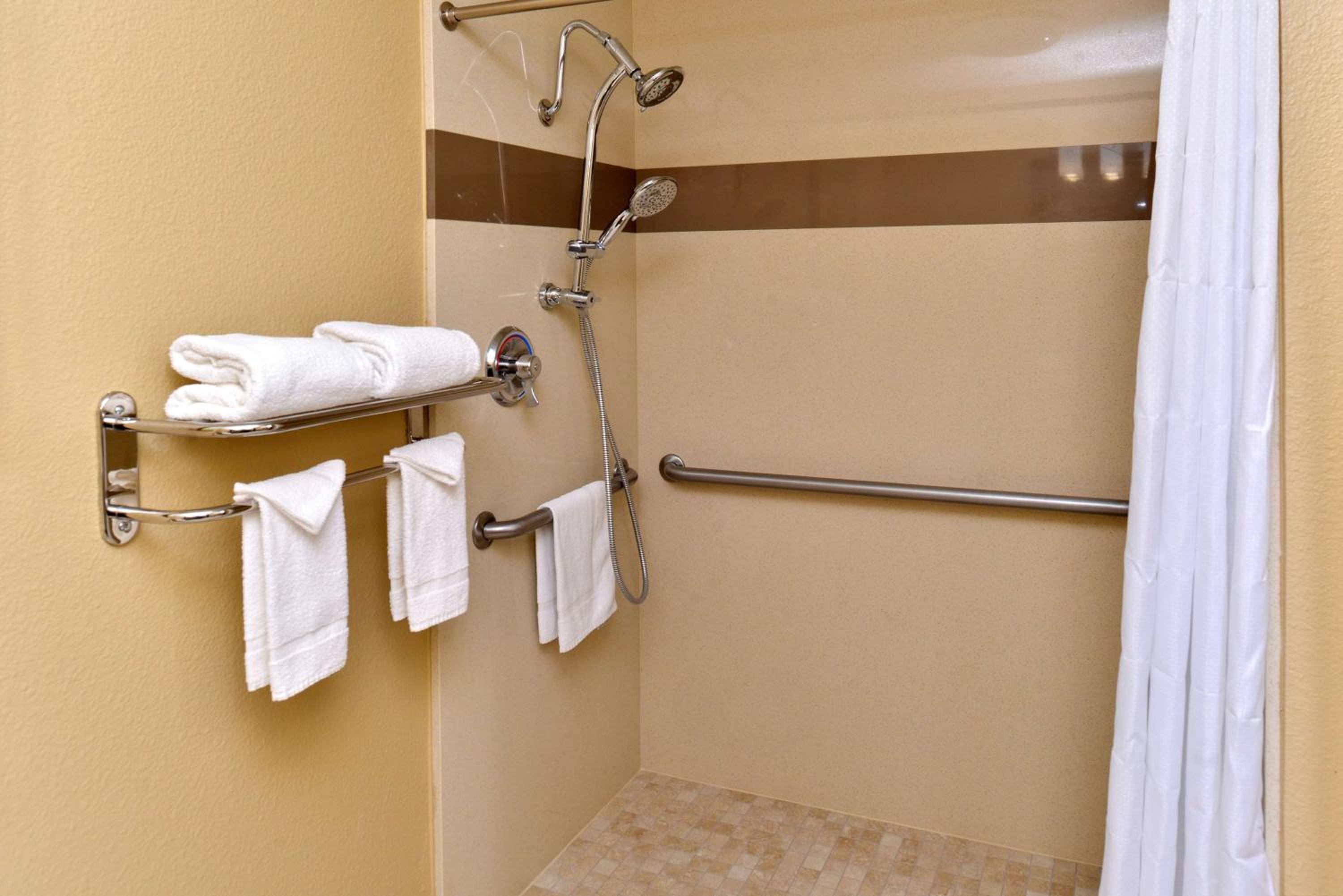 Queen Room with Roll-In Shower - Mobility Accessible/Non-Smoking - Photo 9