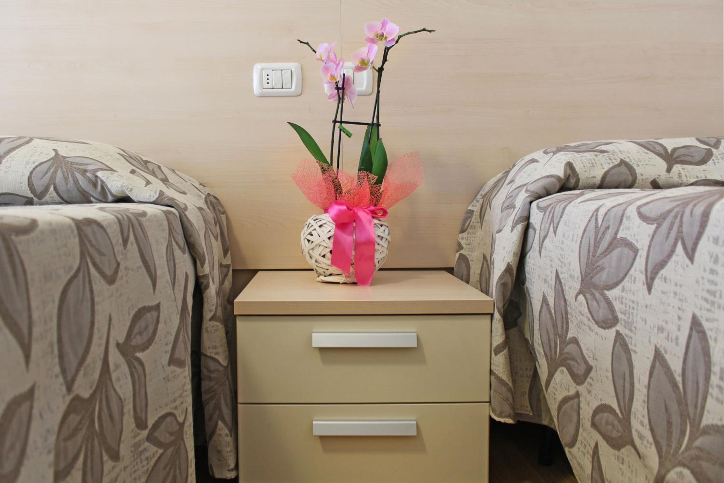 Double or Twin Room photo 3