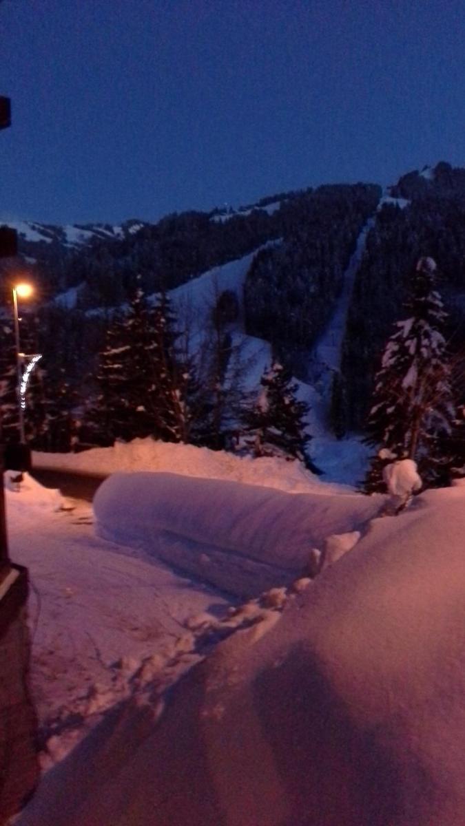 Chalet photo 1