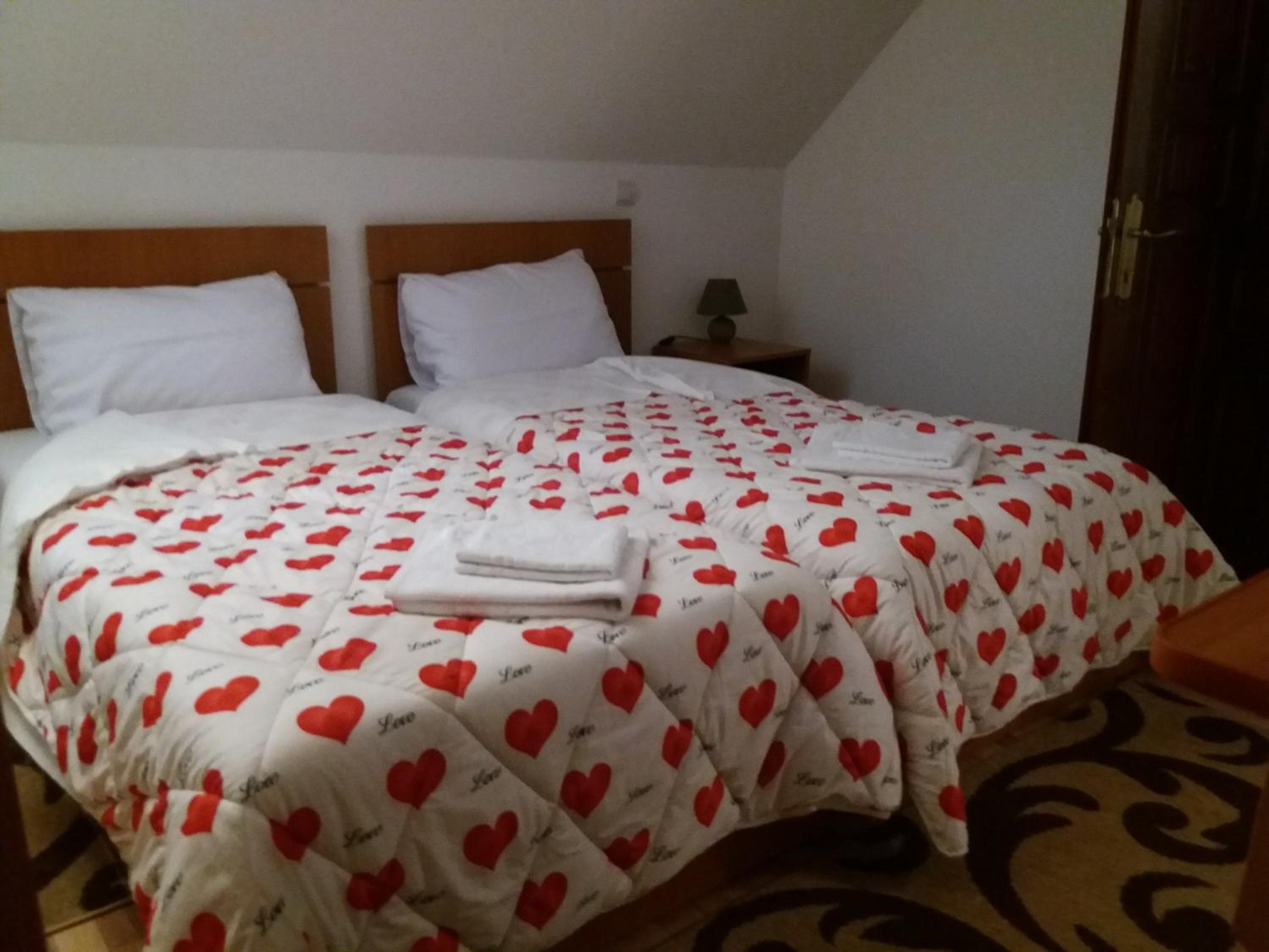 Large Double Room photo 2