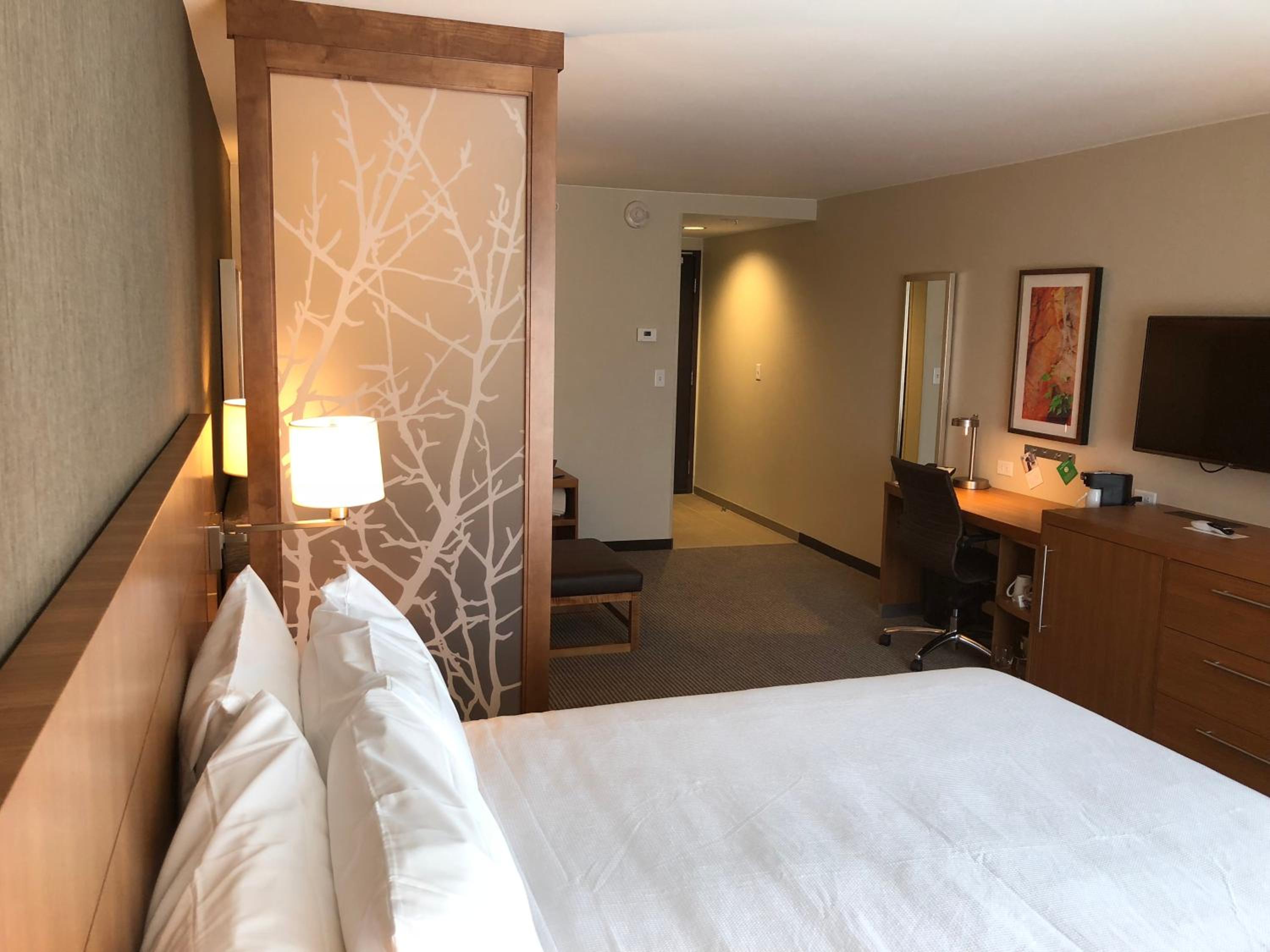 King Room with Roll-In Shower - Disability Access