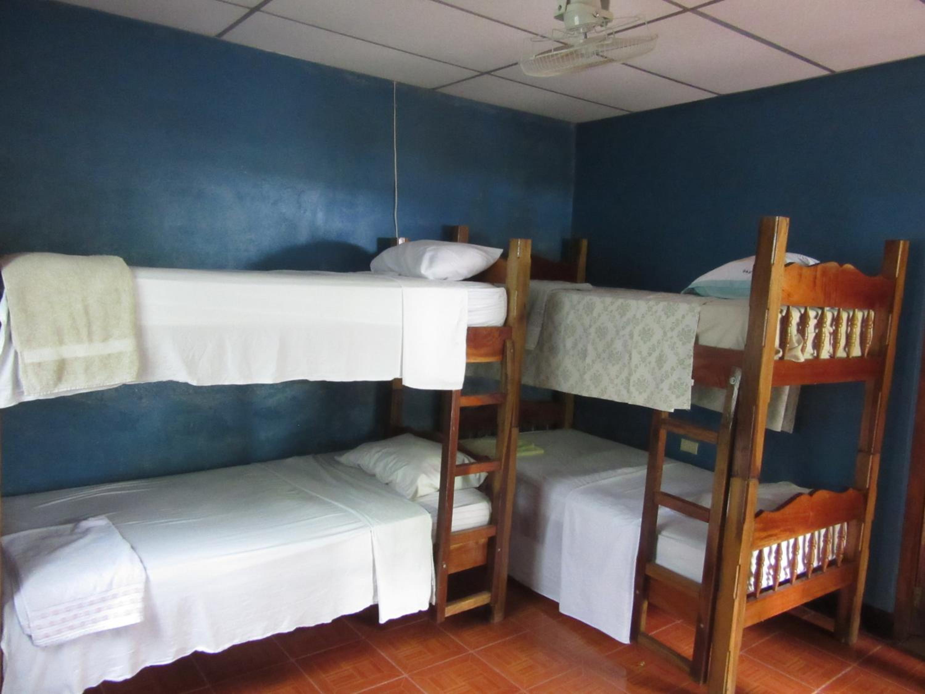 Bunk Bed in Mixed Dormitory Room