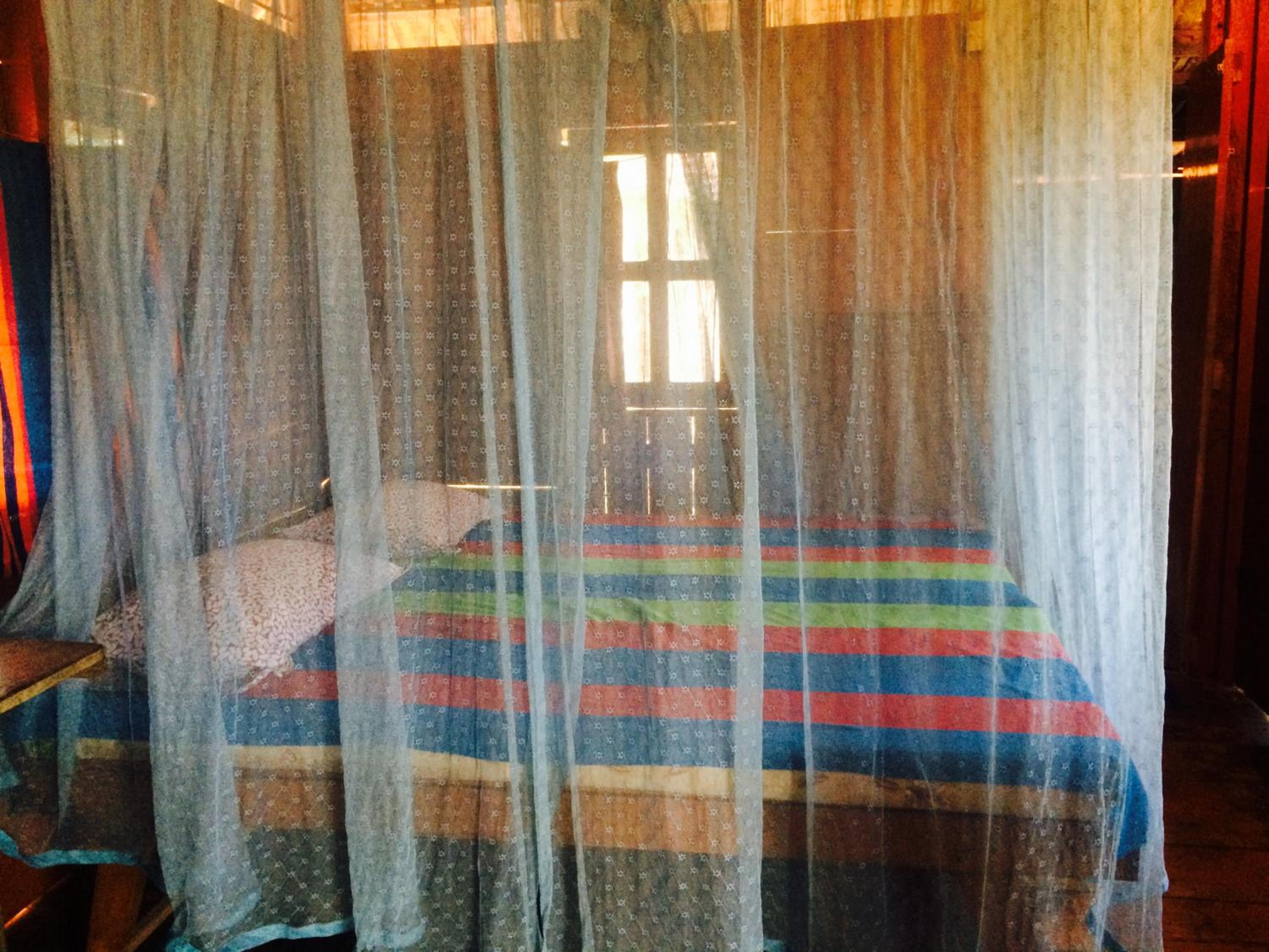 Triple Room in Tree House With Sea View photo 1