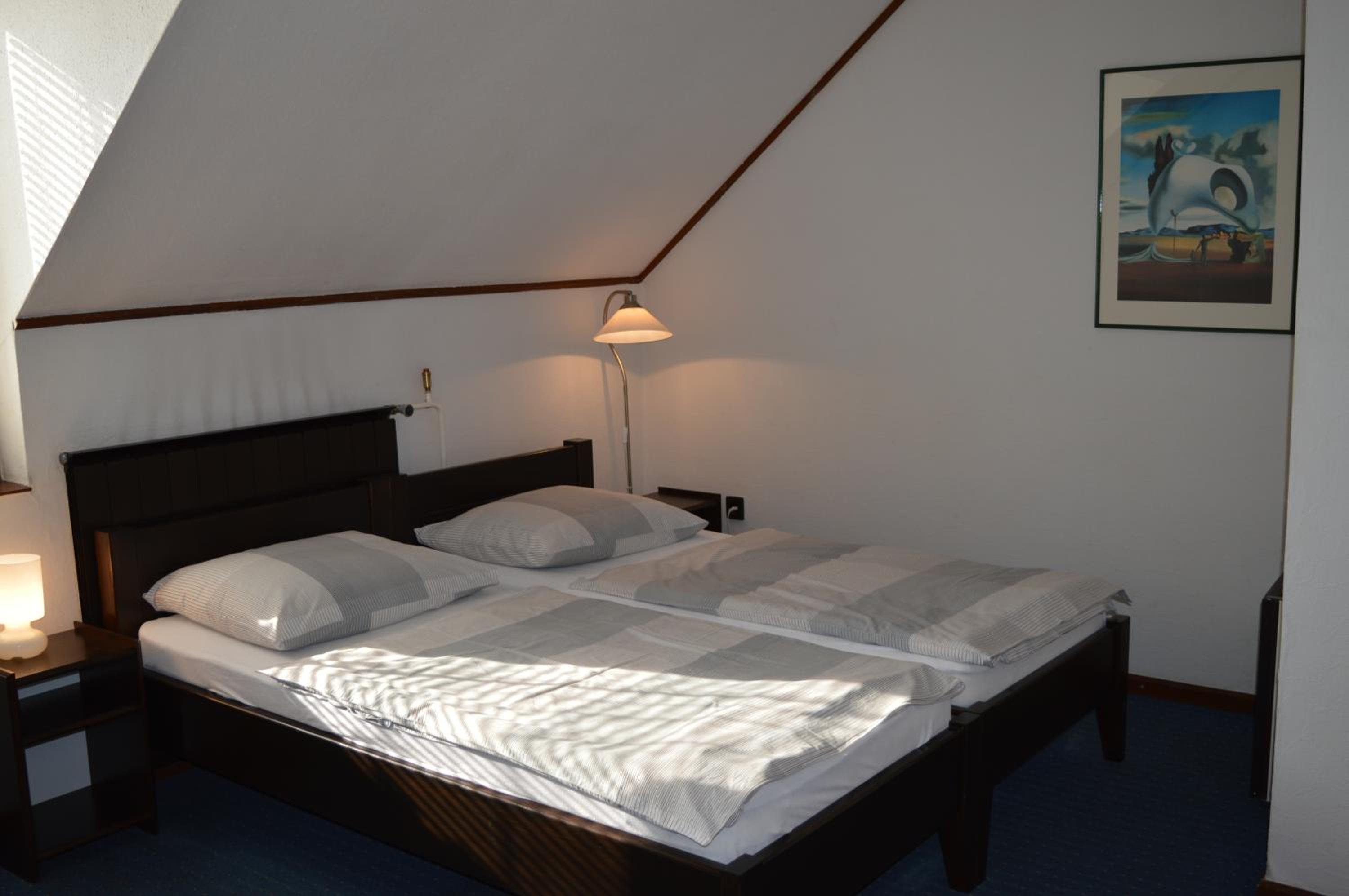 Double or Twin Room photo 3