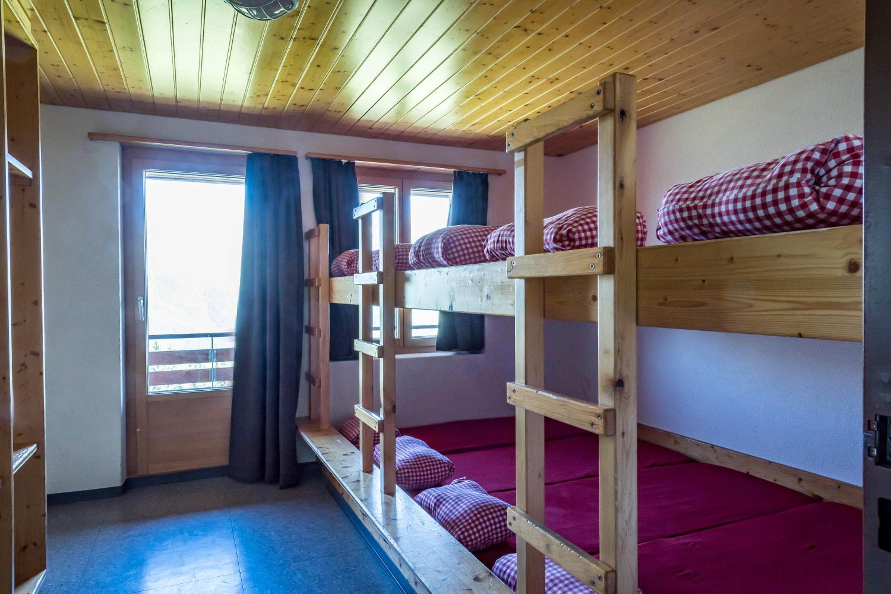 Bunk Bed in Mixed Dormitory Room photo 2