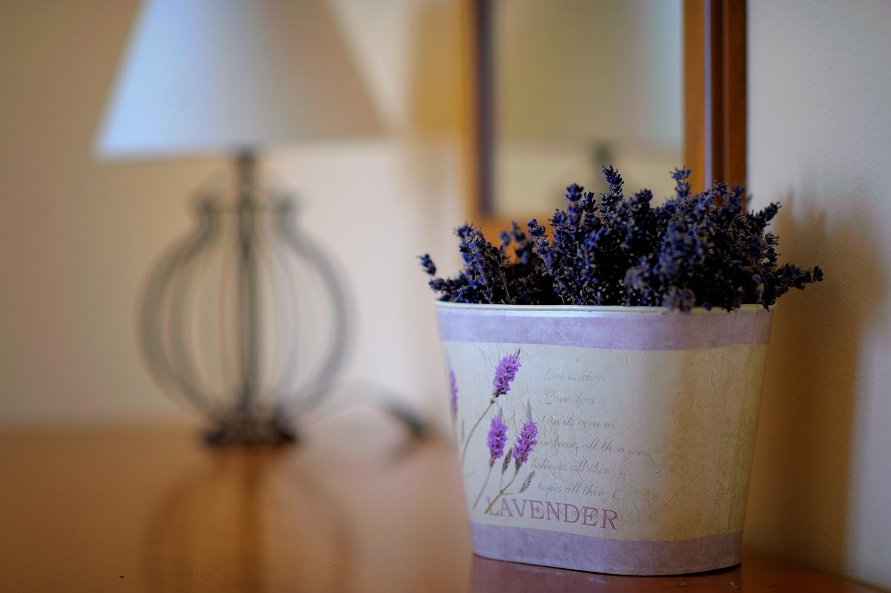 Suite with free Spa Access - Photo 9