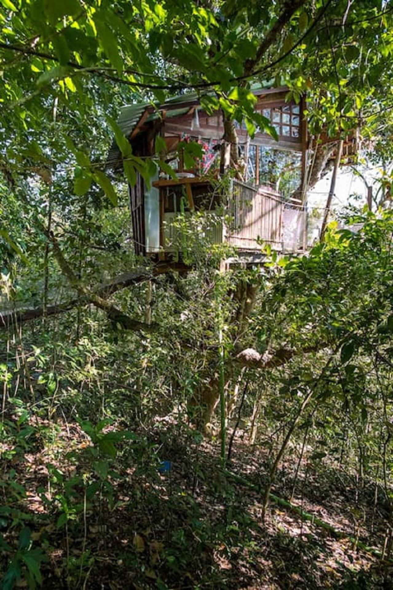 Treehouse photo 3