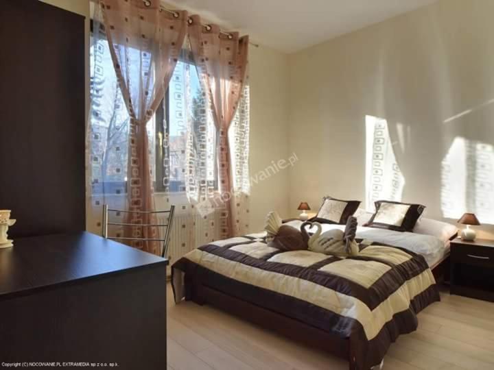 Studio with Terrace photo 3