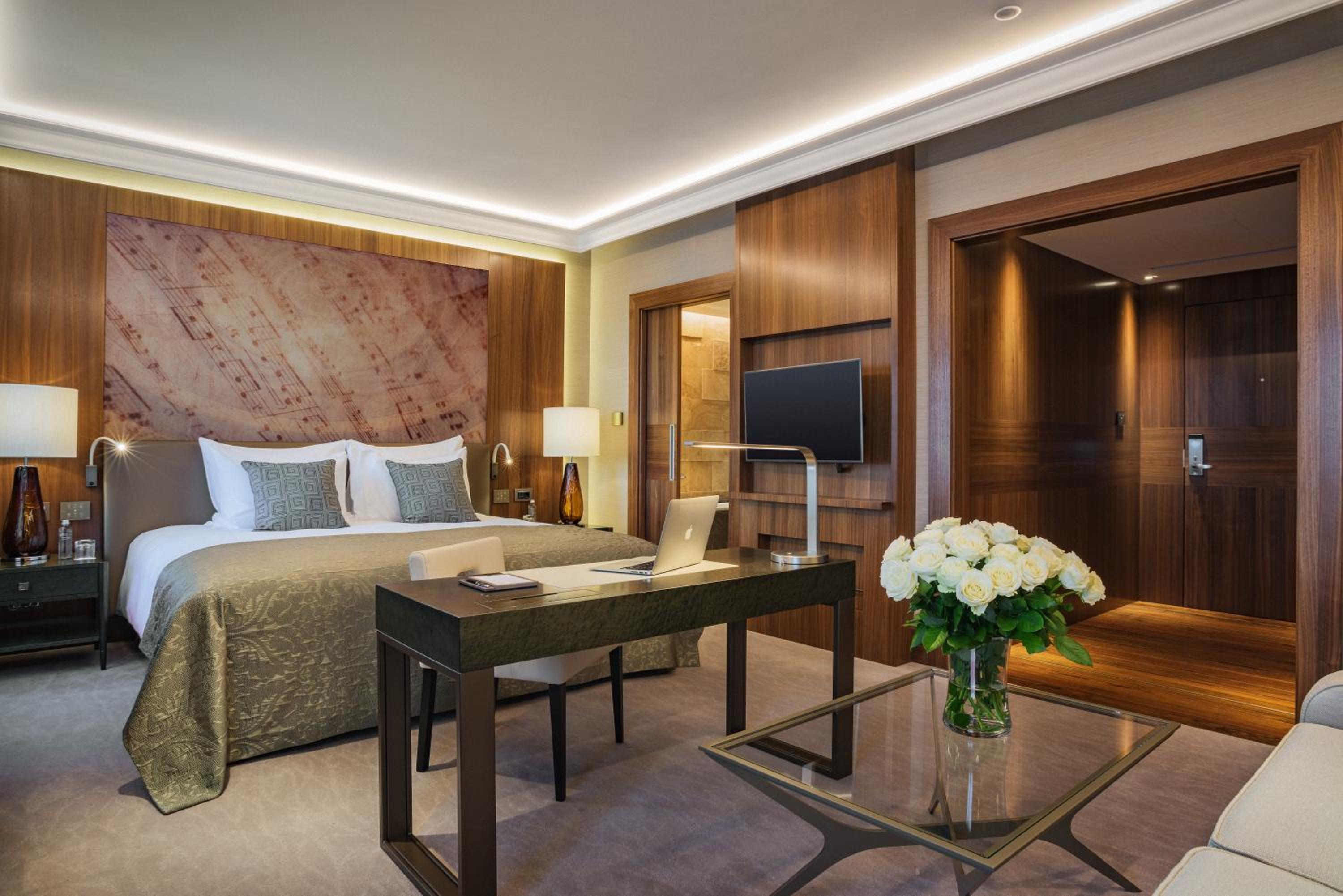 Deluxe Room King - Photo 9