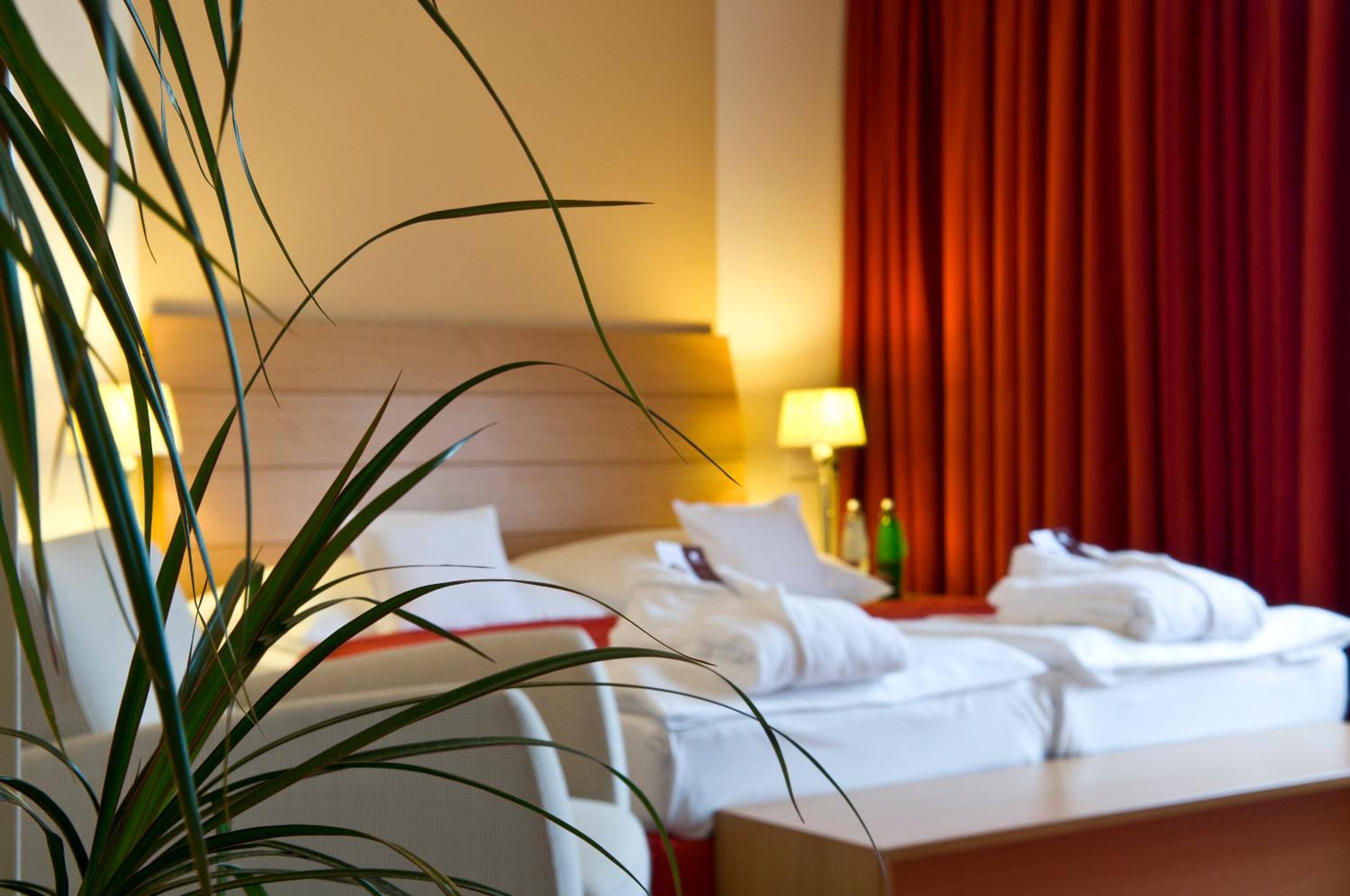 Suite - Photo 4