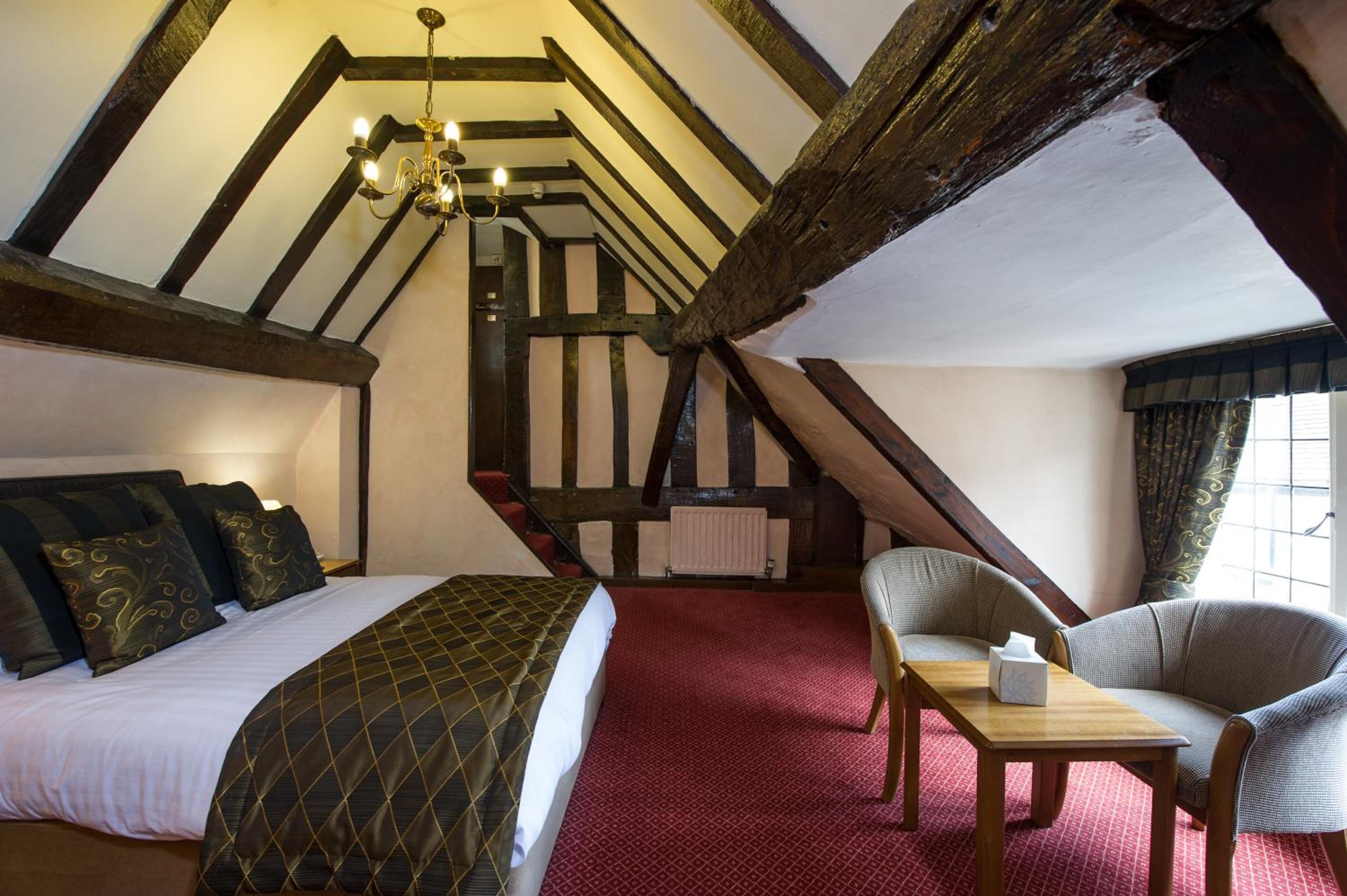 Suite - Photo 3