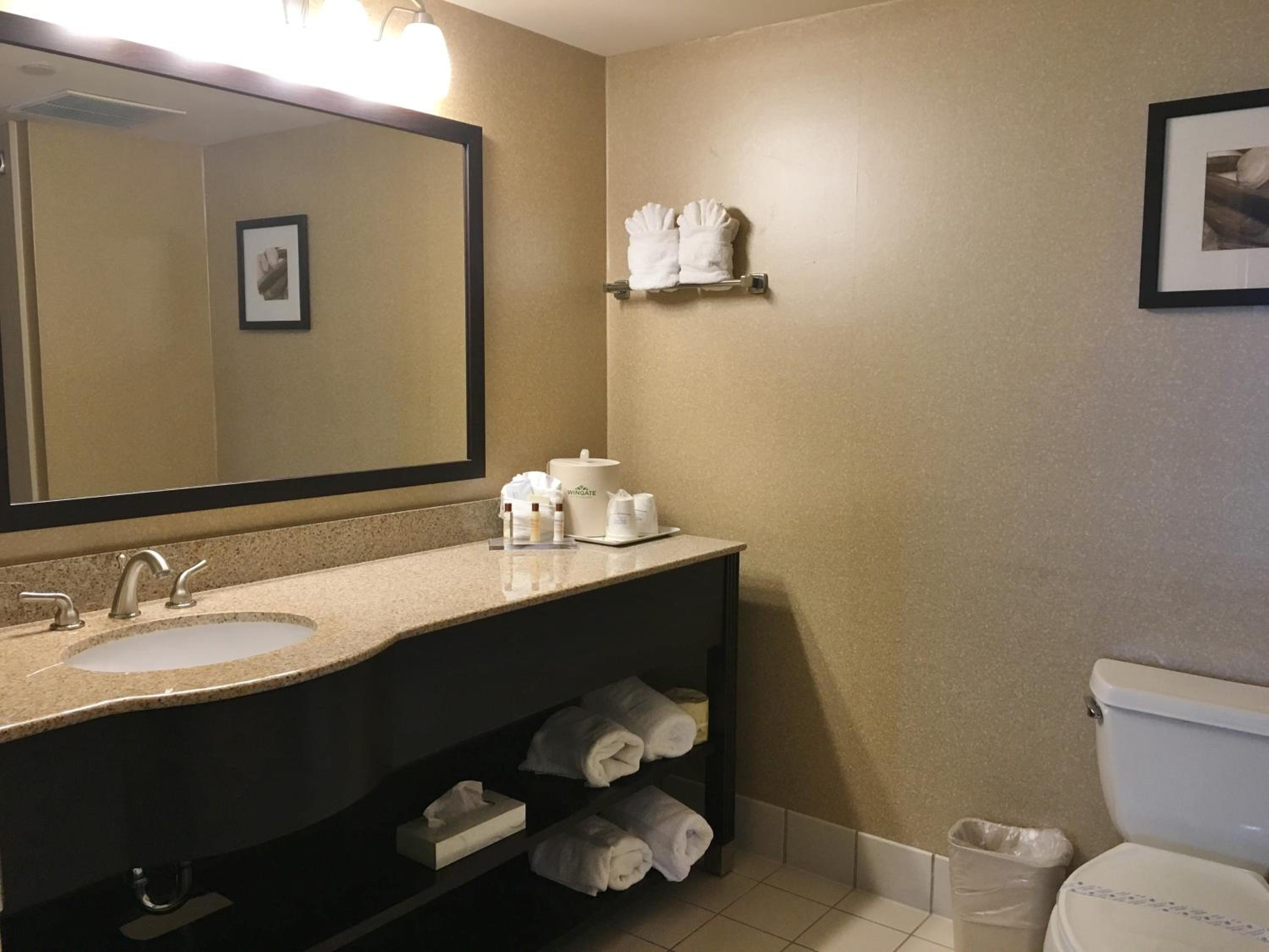 King Studio Suite - Non-Smoking - Photo 6