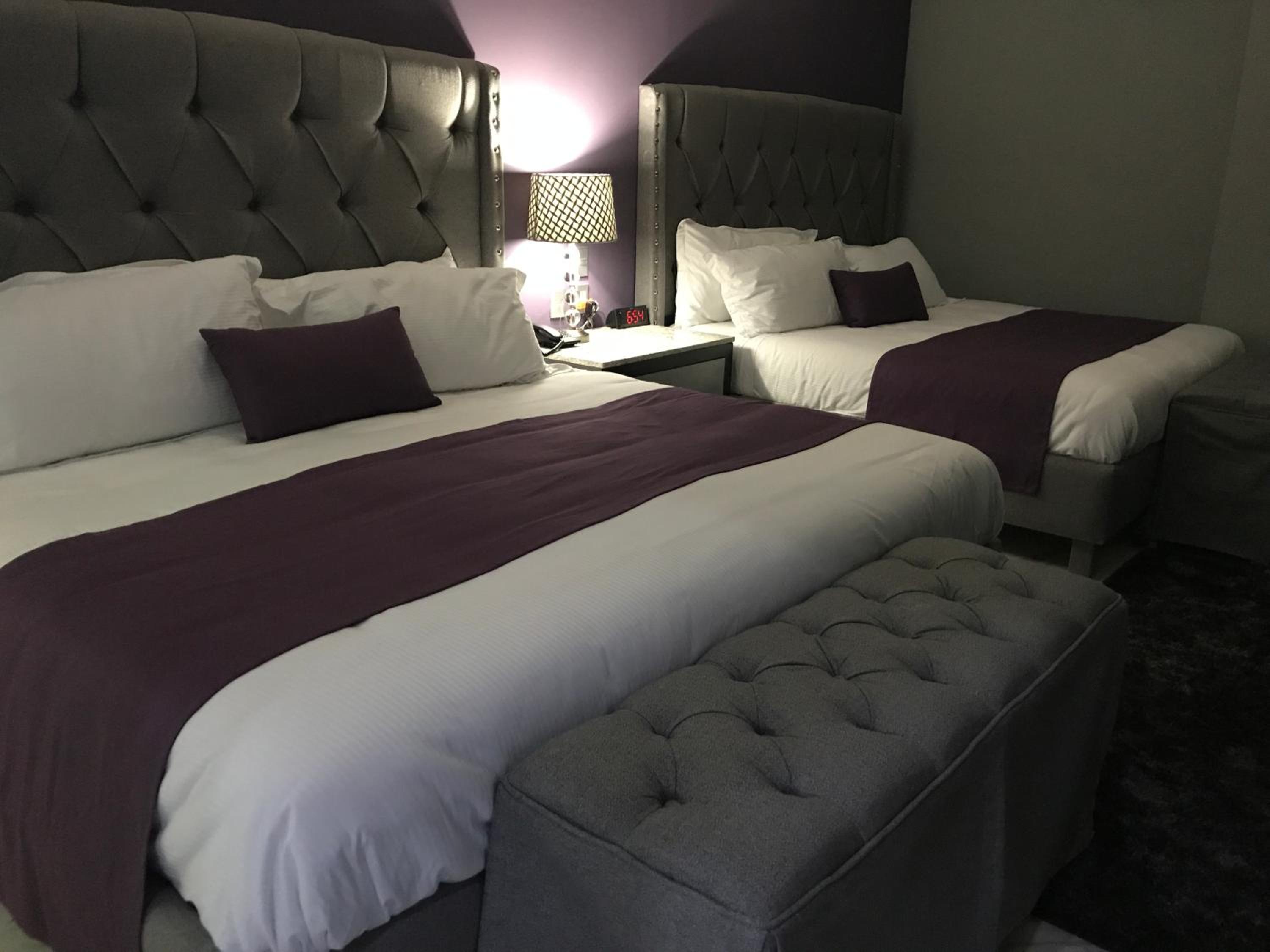 Standard Double Suite photo 1