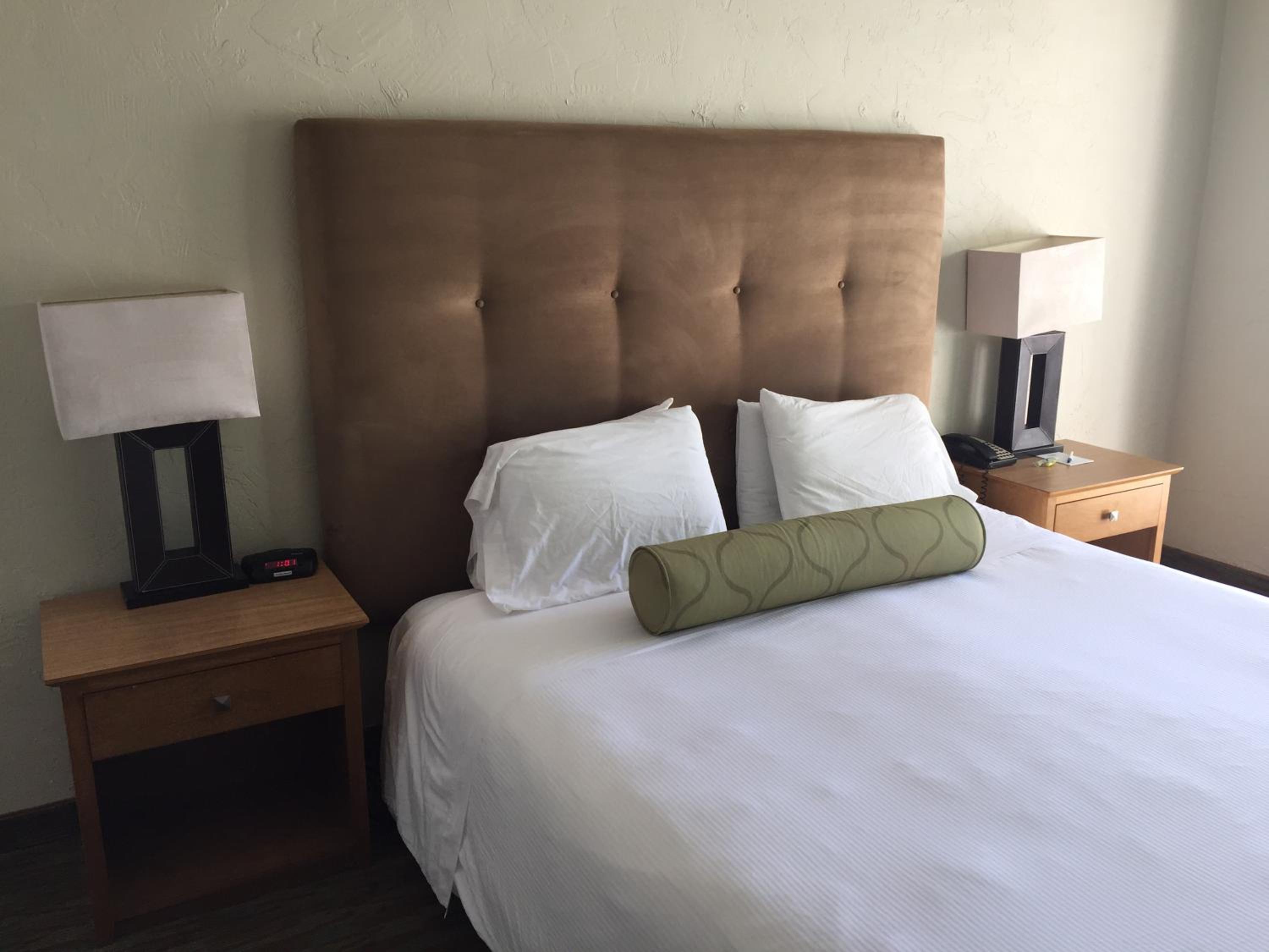 King Room - Photo 4