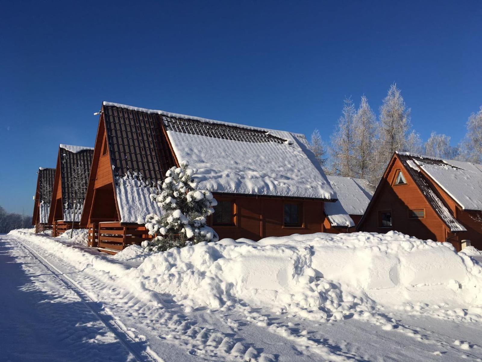 Two-Bedroom Chalet - Photo 3