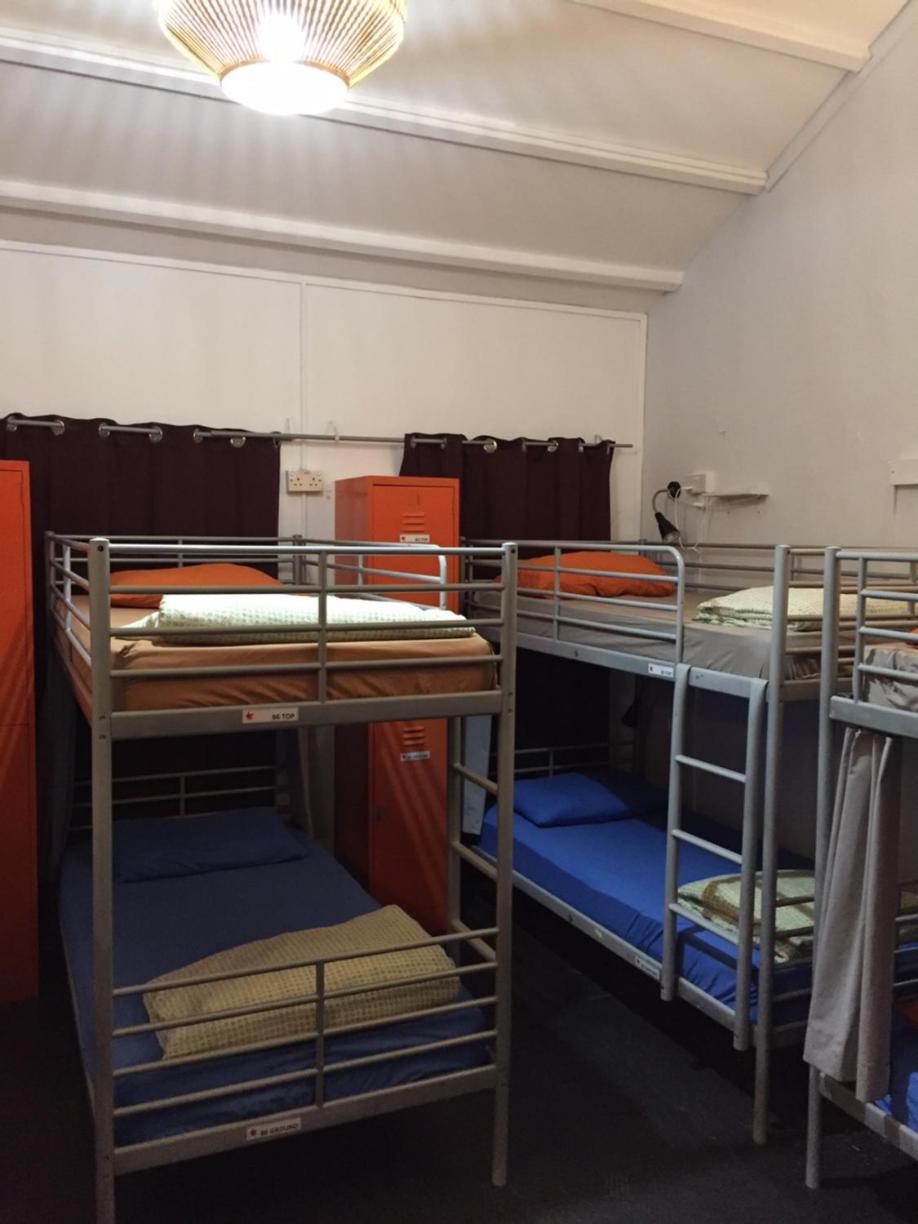 Single Bed in 13-Bed Mixed Dorm photo 1
