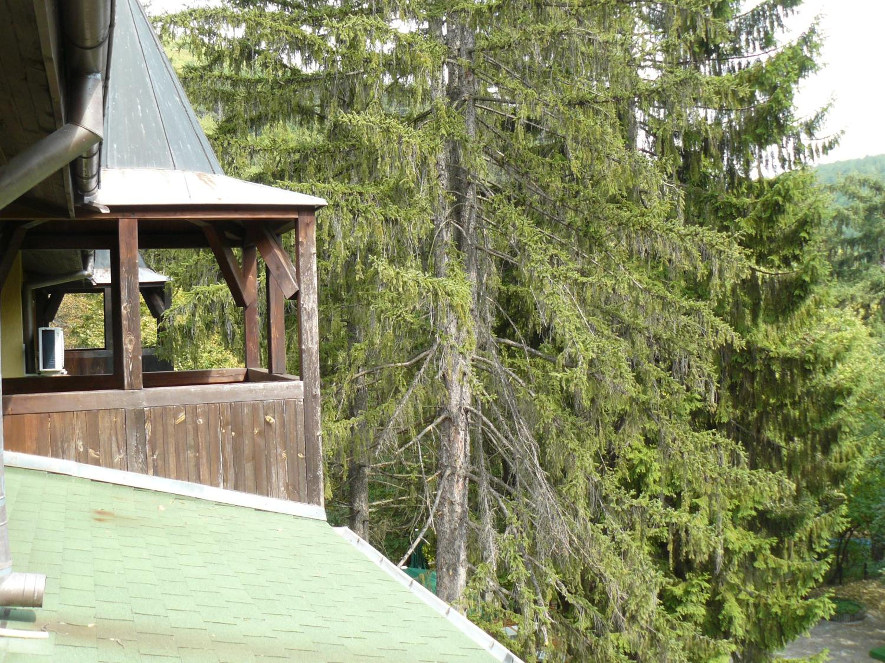 Junior Suite with Balcony
