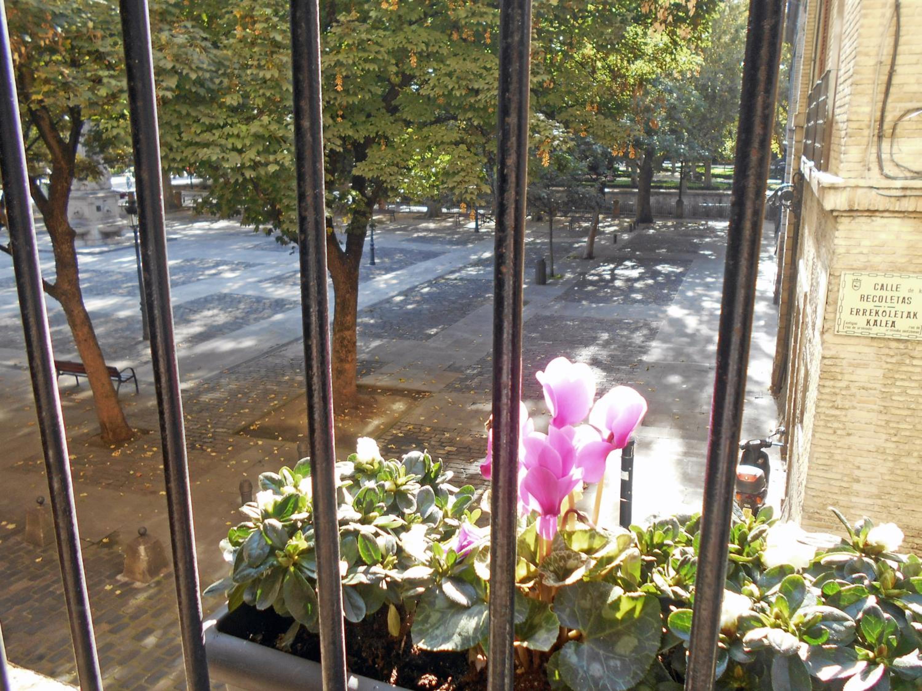Apartment with Garden View photo 3