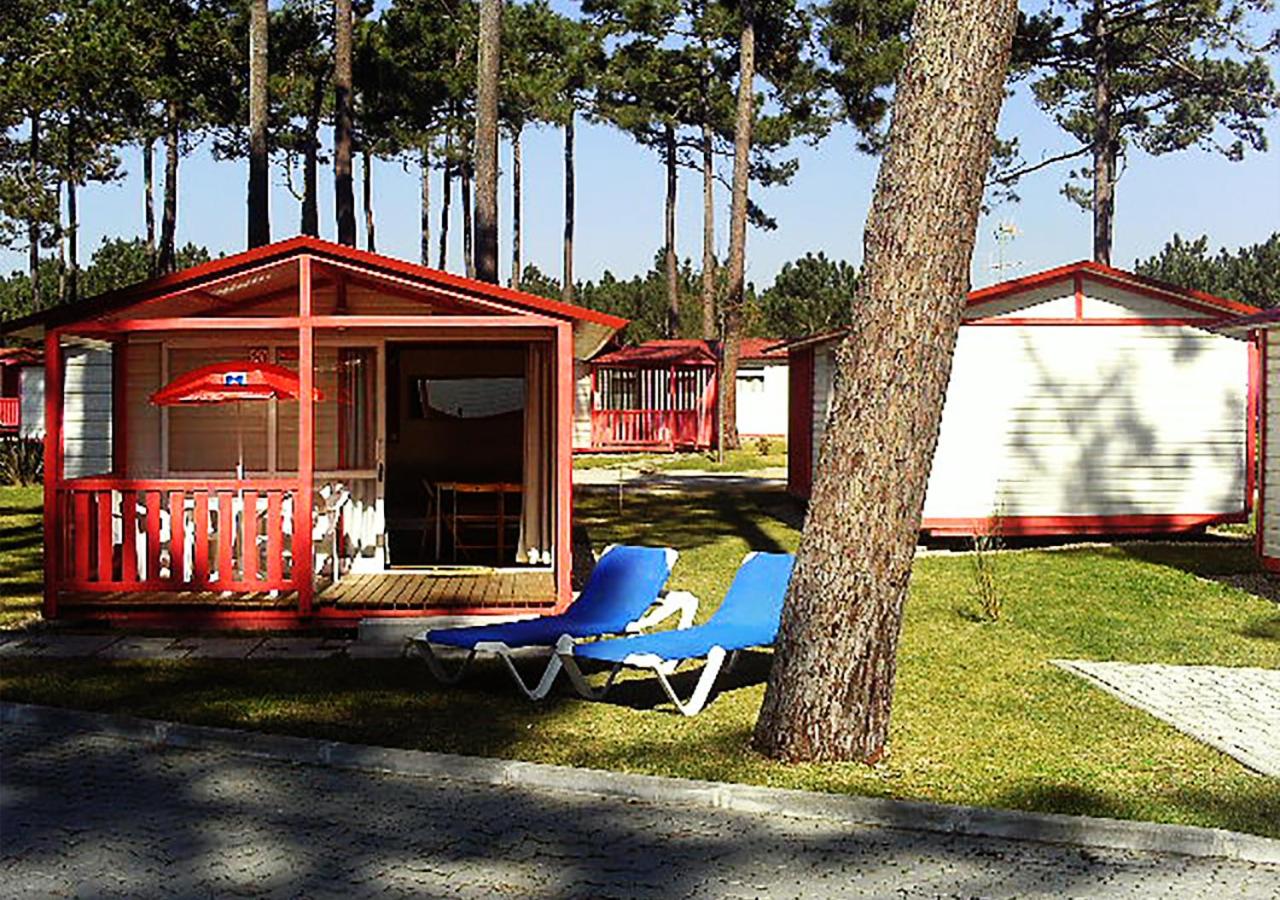 One-Bedroom Bungalow photo 2