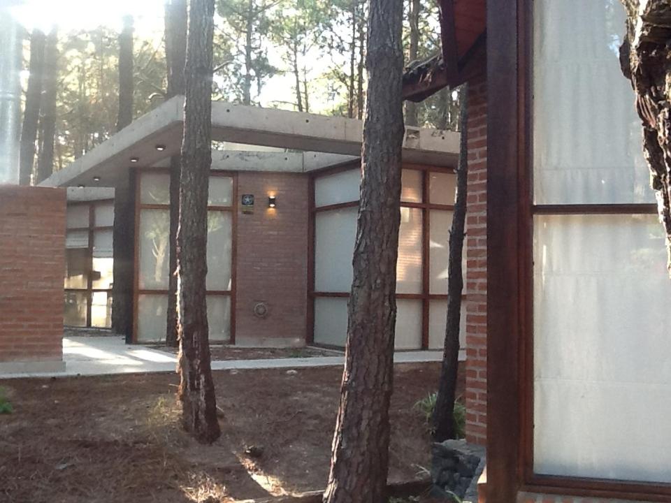 One-Bedroom Bungalow photo 3