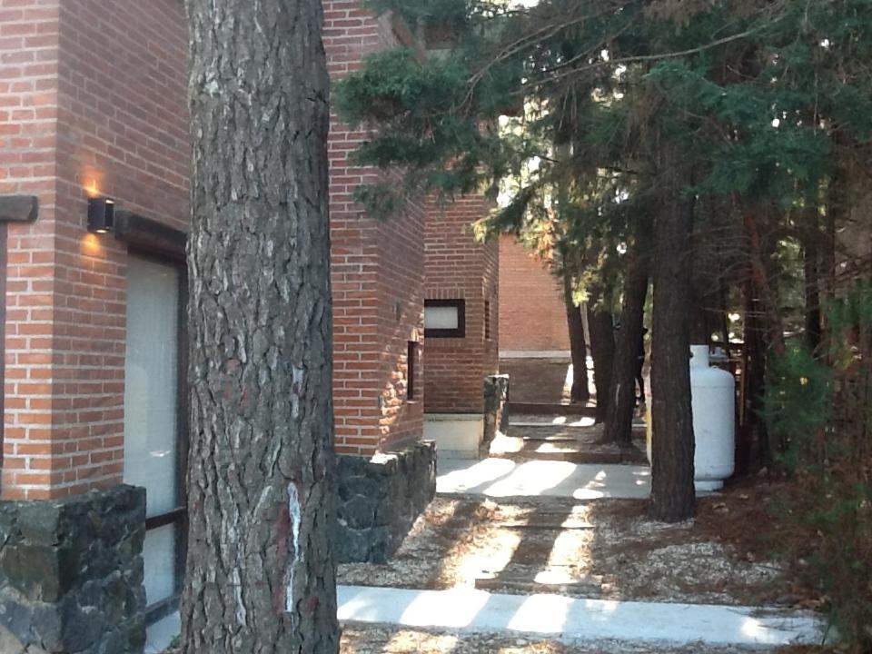 Apartment photo 3