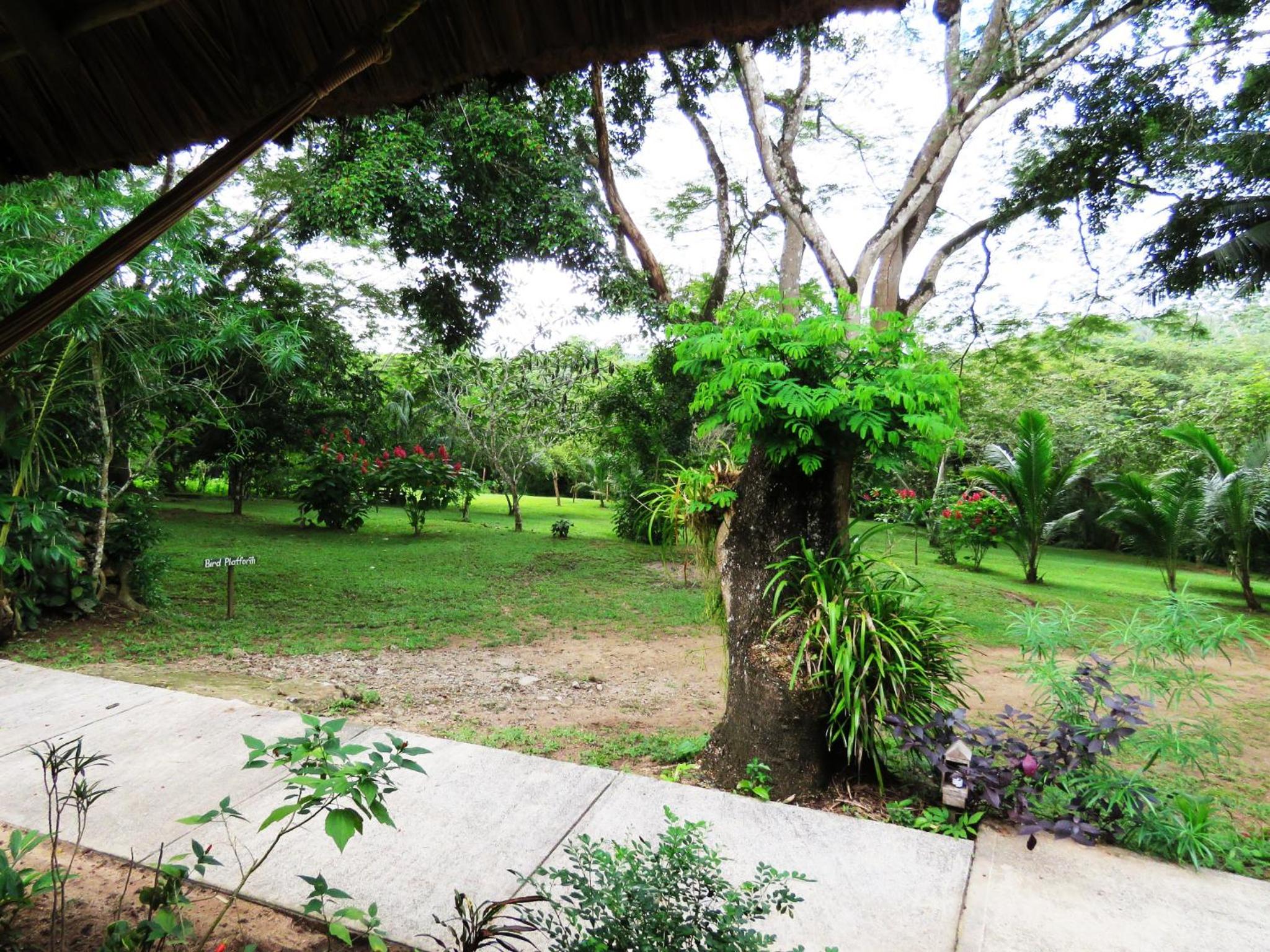 Bungalow photo 3