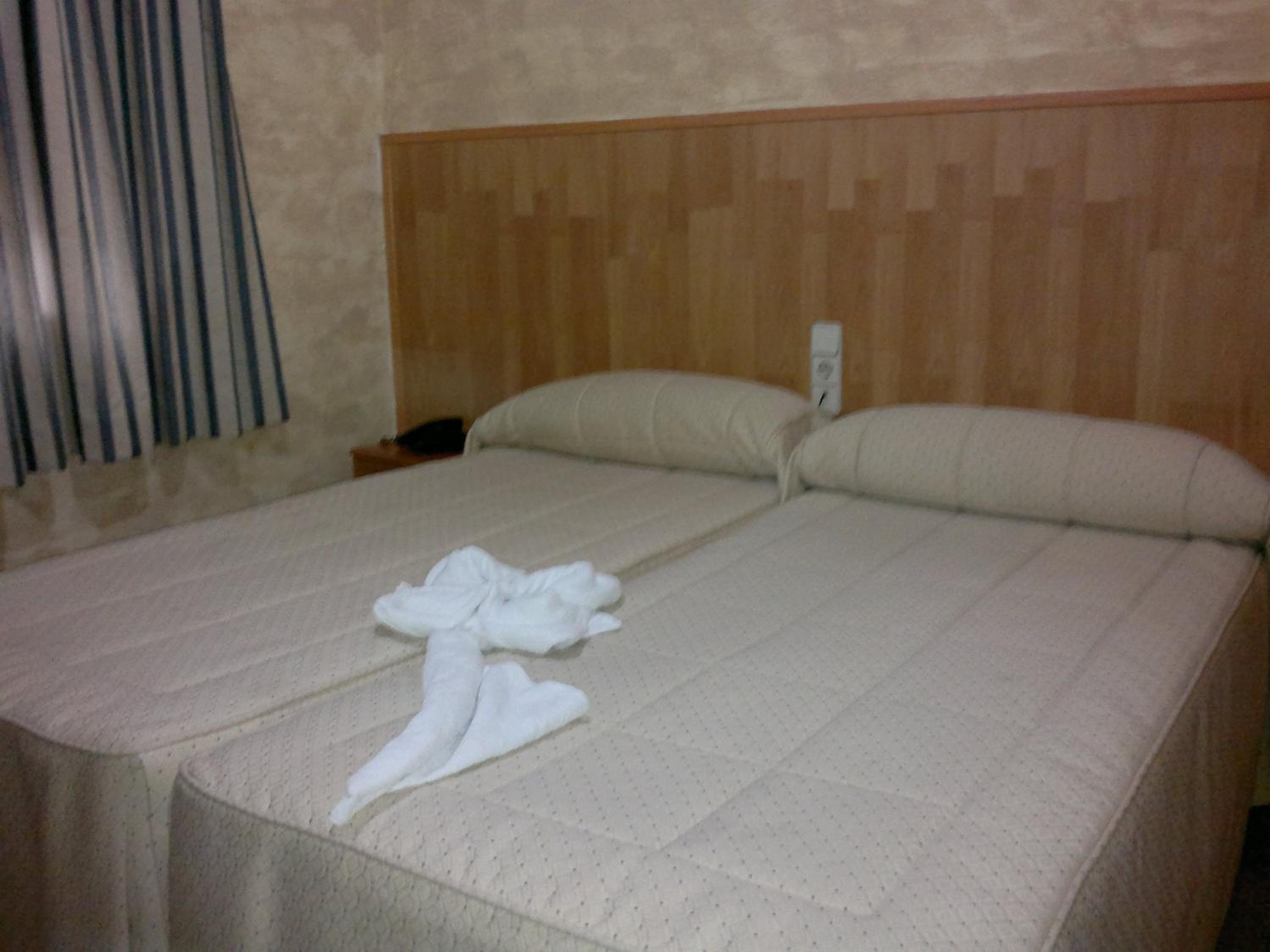 Twin Room - Photo 2