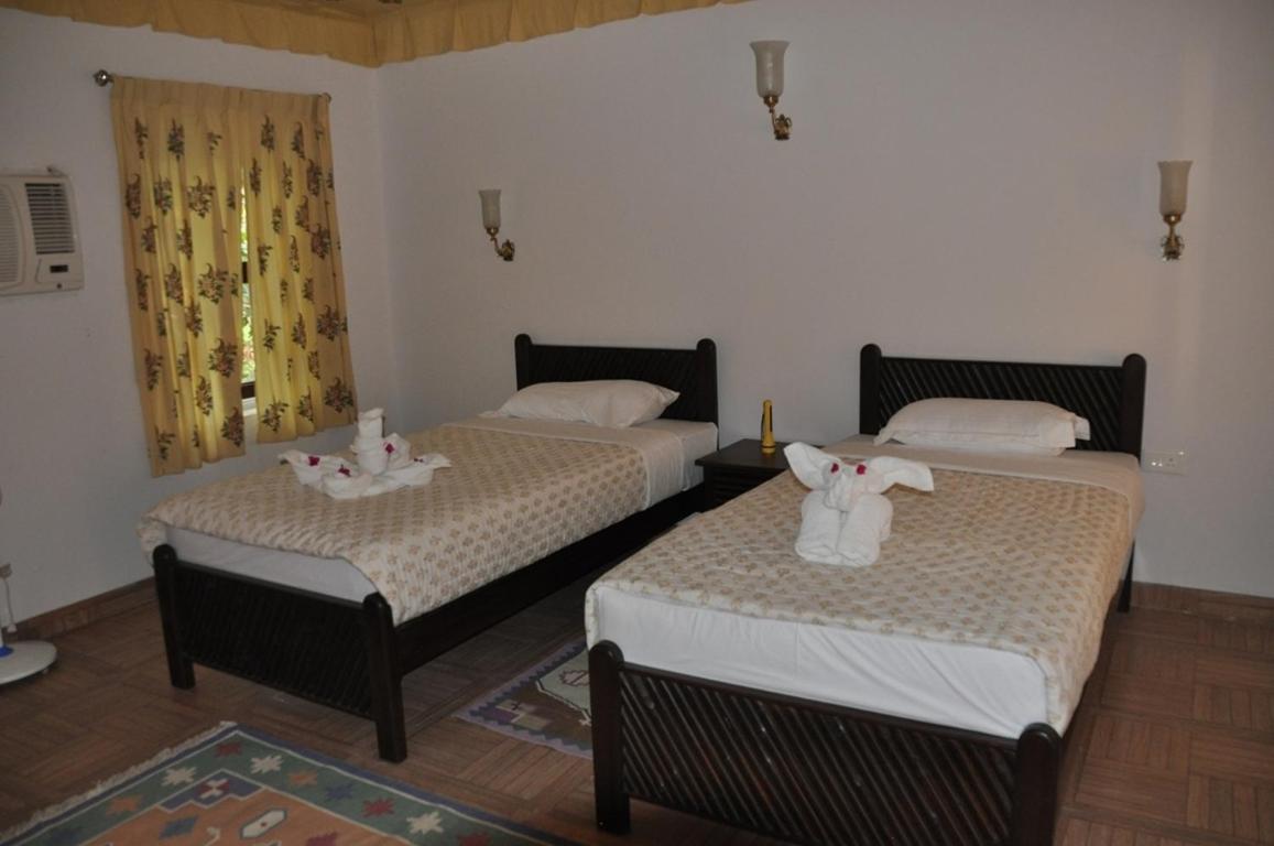 Deluxe Room - Photo 4