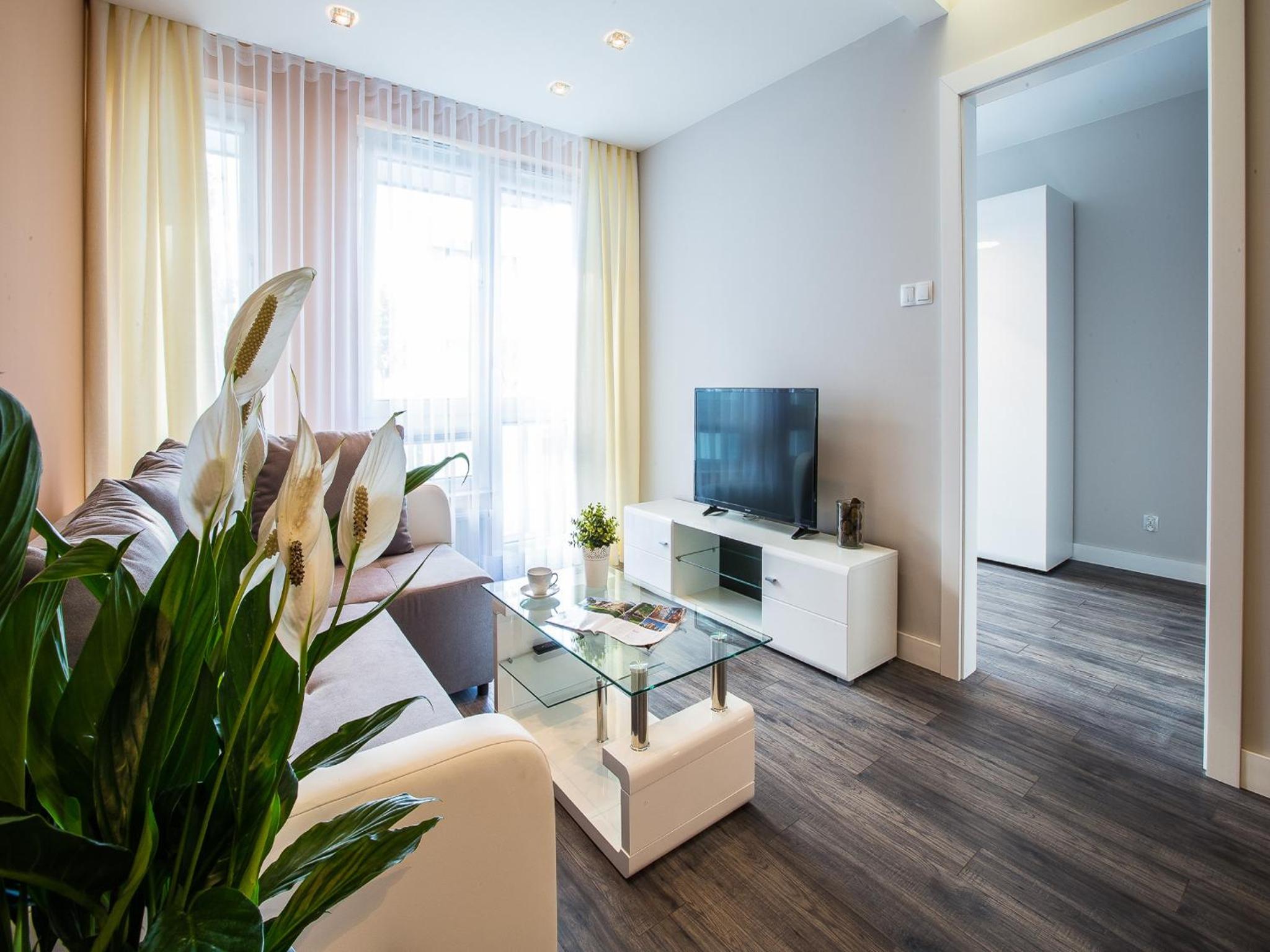 Deluxe Apartment with Balcony and Air Conditioning photo 3