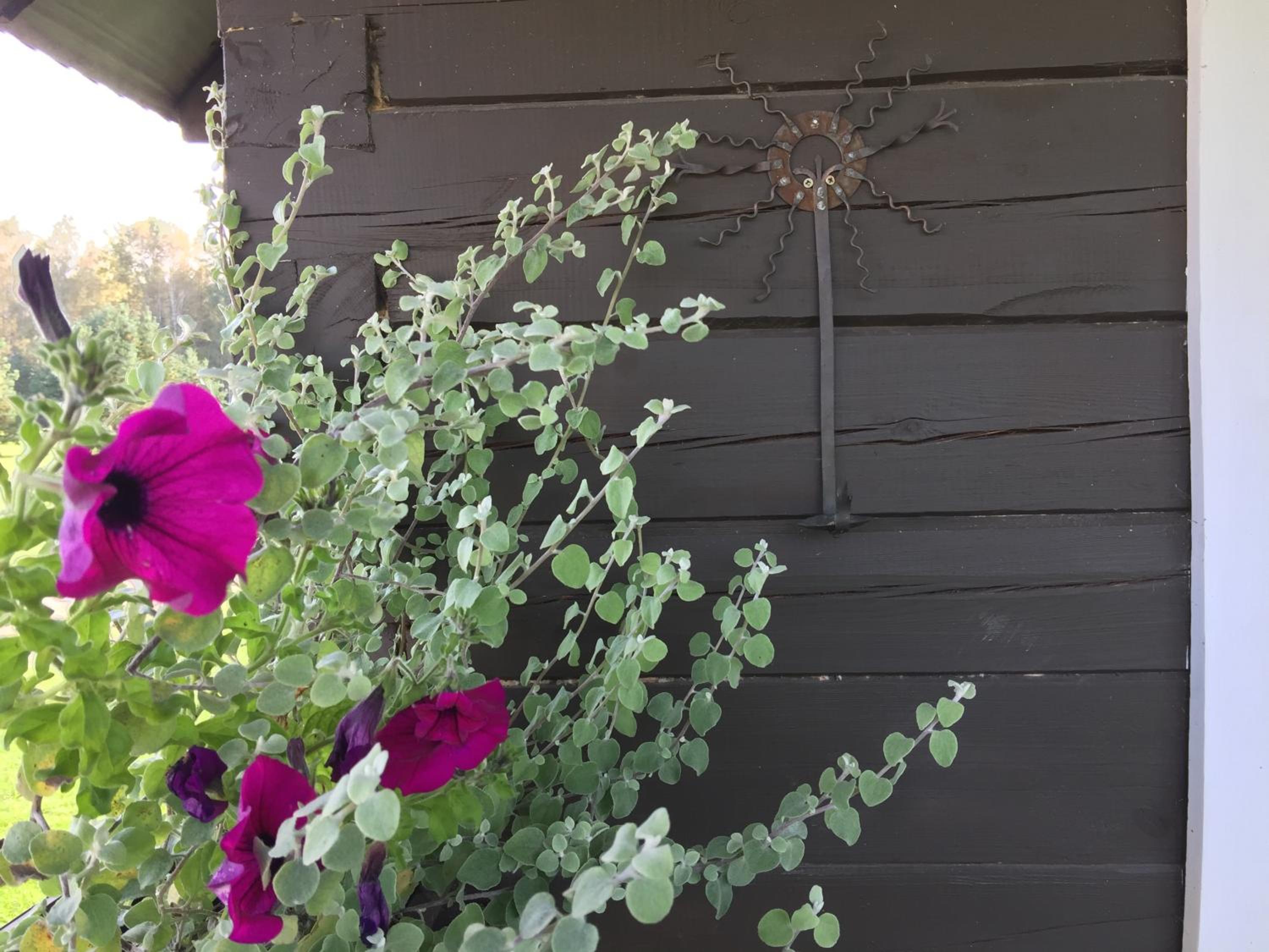Chalet - Photo 20