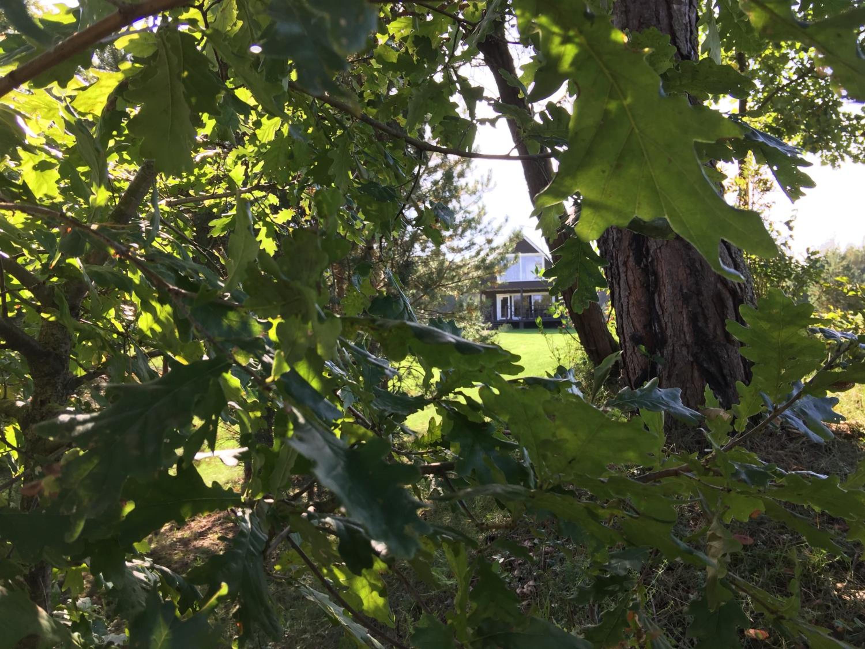 Chalet - Photo 32