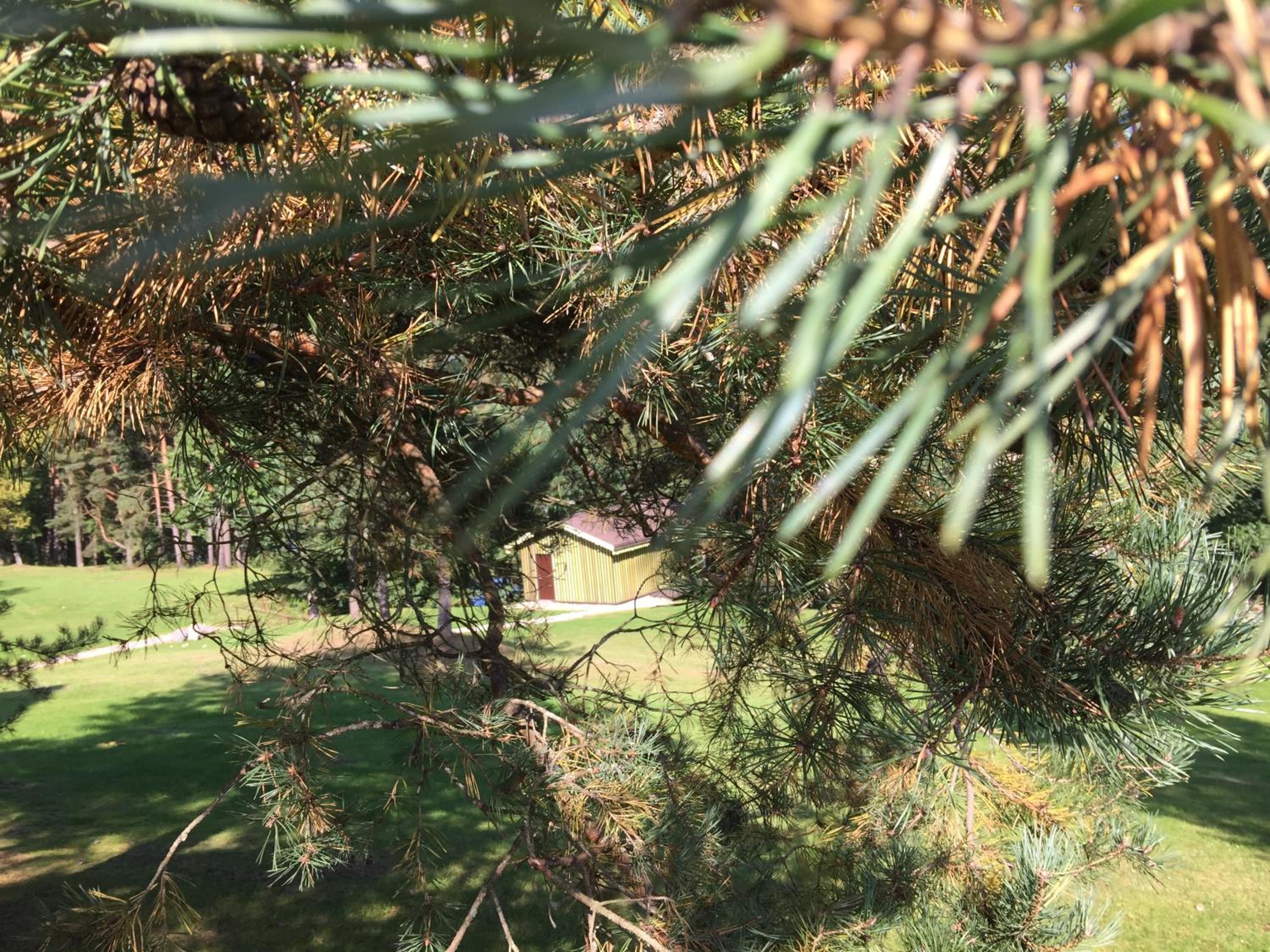 Vacation Home photo 2