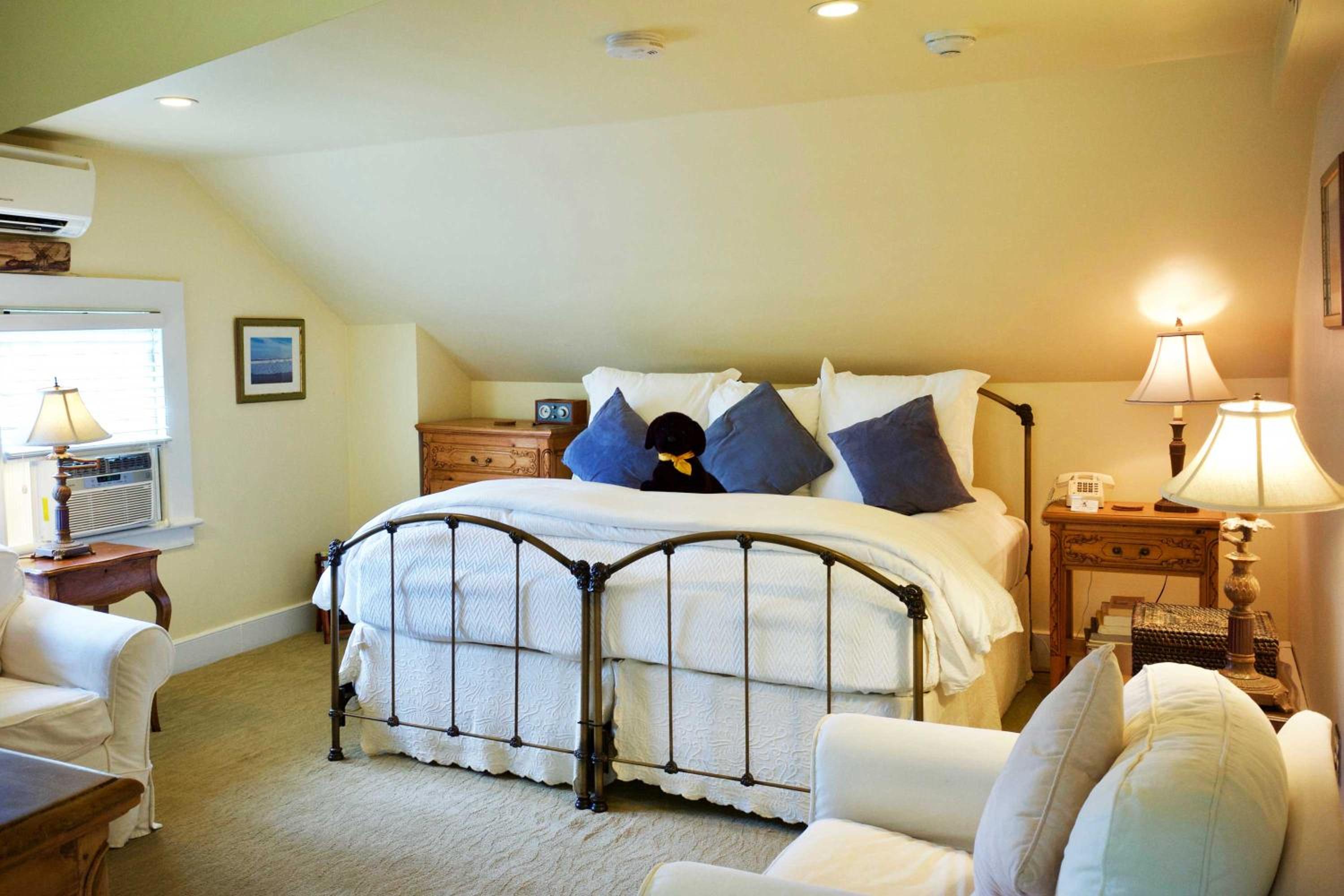 Room Seven - Not Pet-Friendly