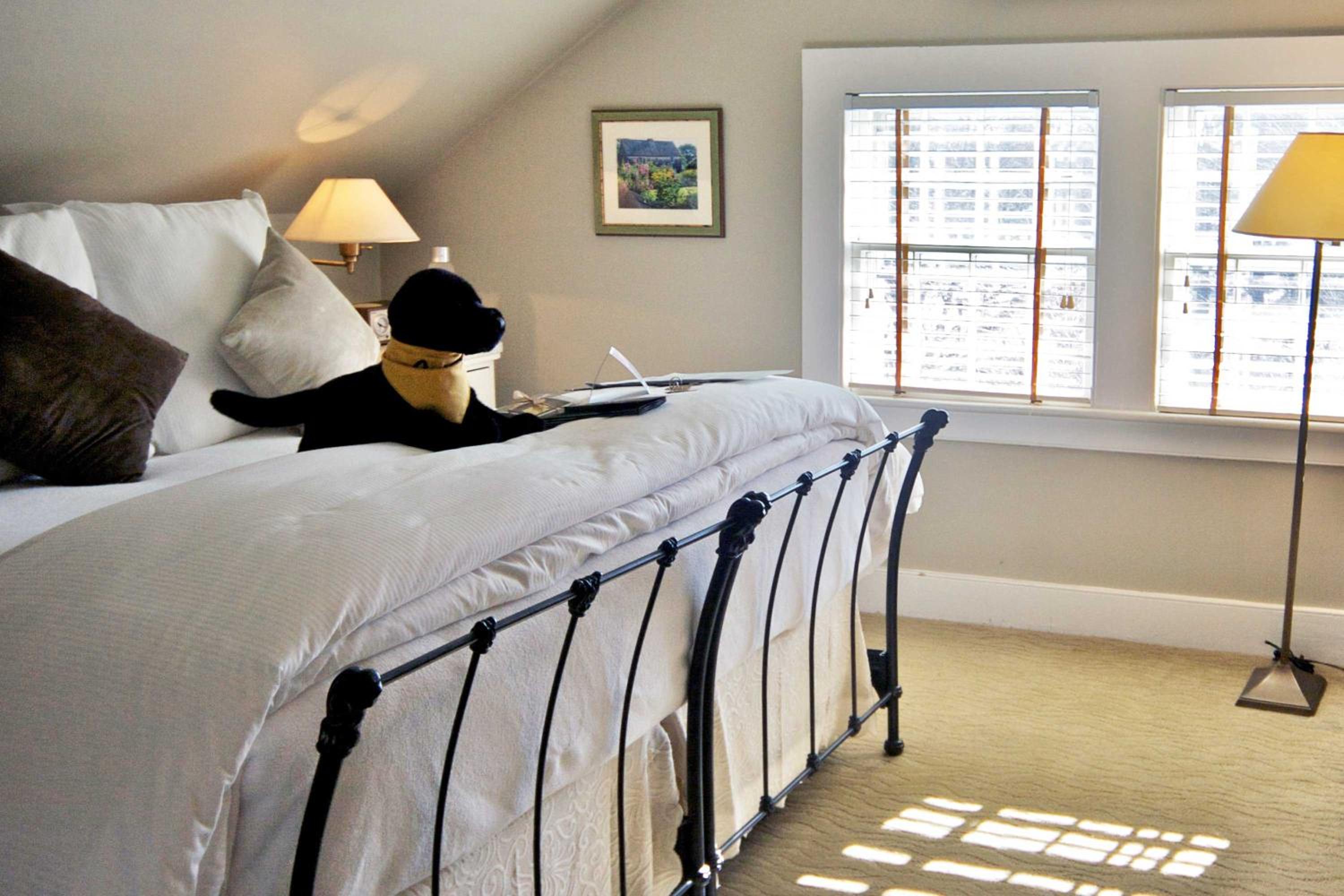 Room Eight - Not Pet-Friendly