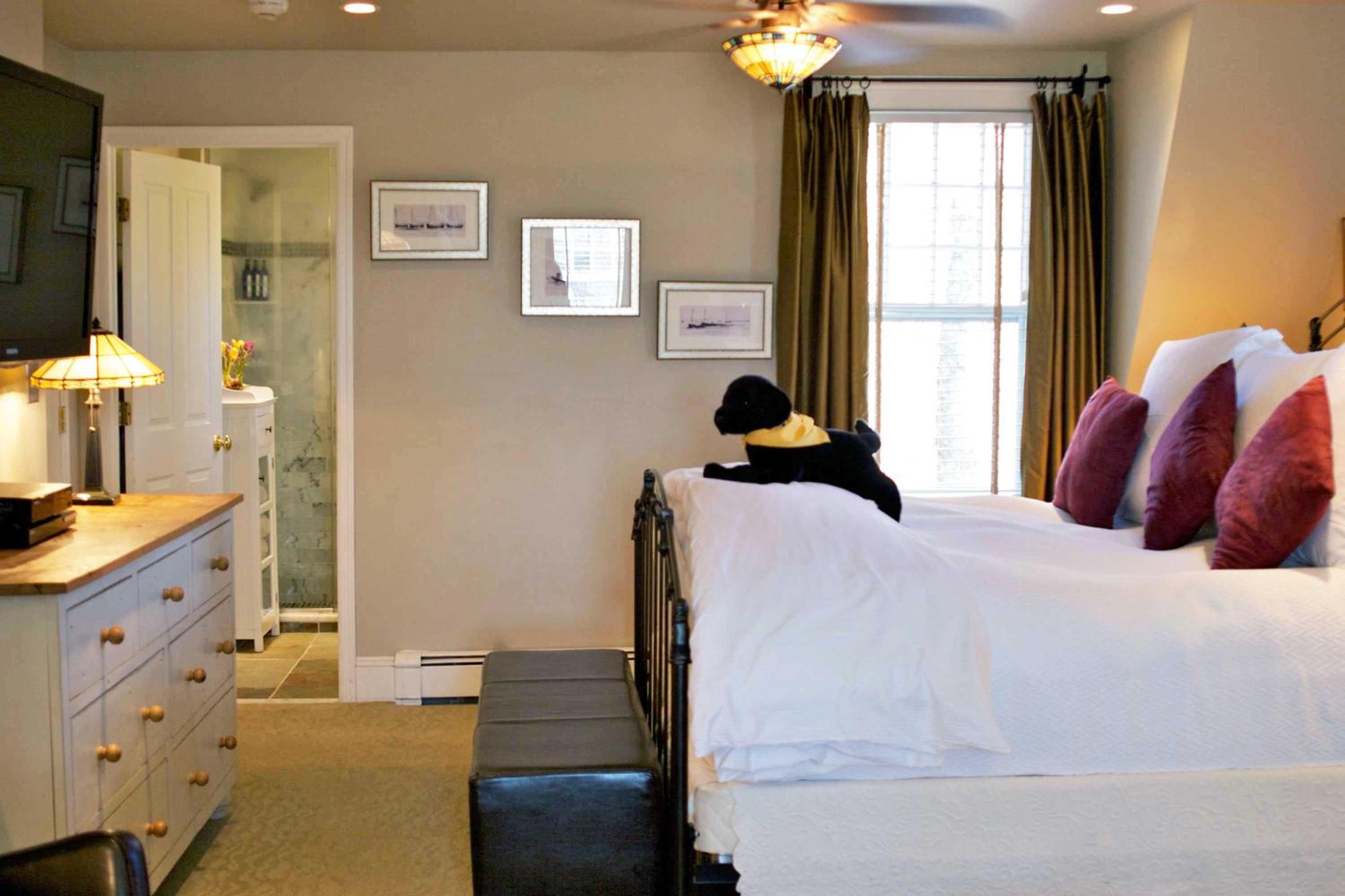 Suite Twelve - Not Pet-Friendly