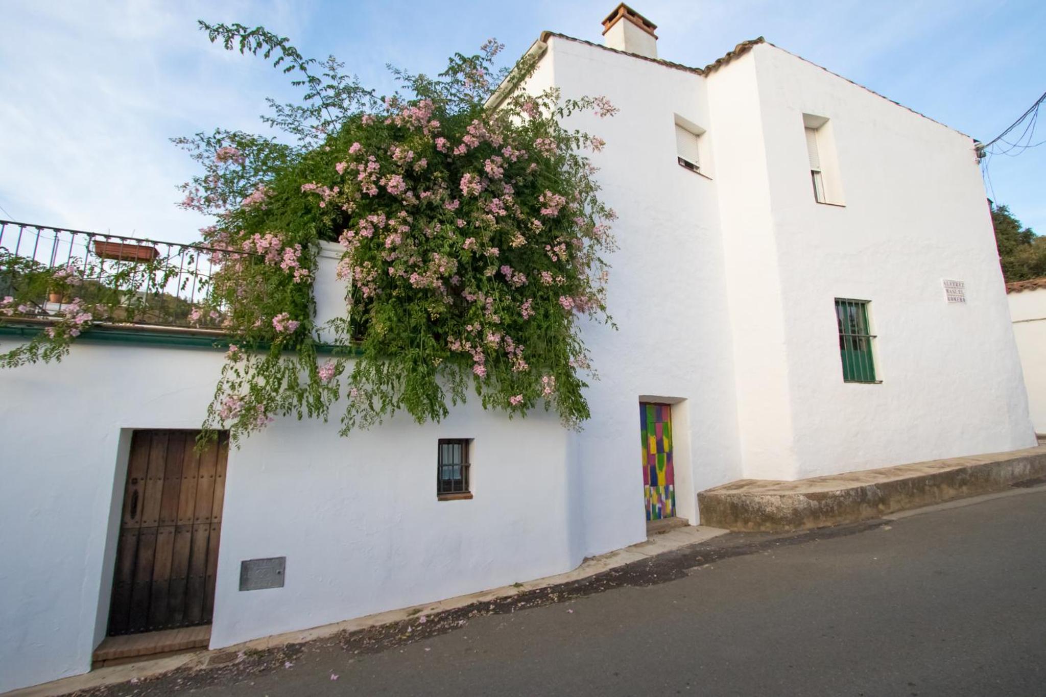 Two-Bedroom House photo 2