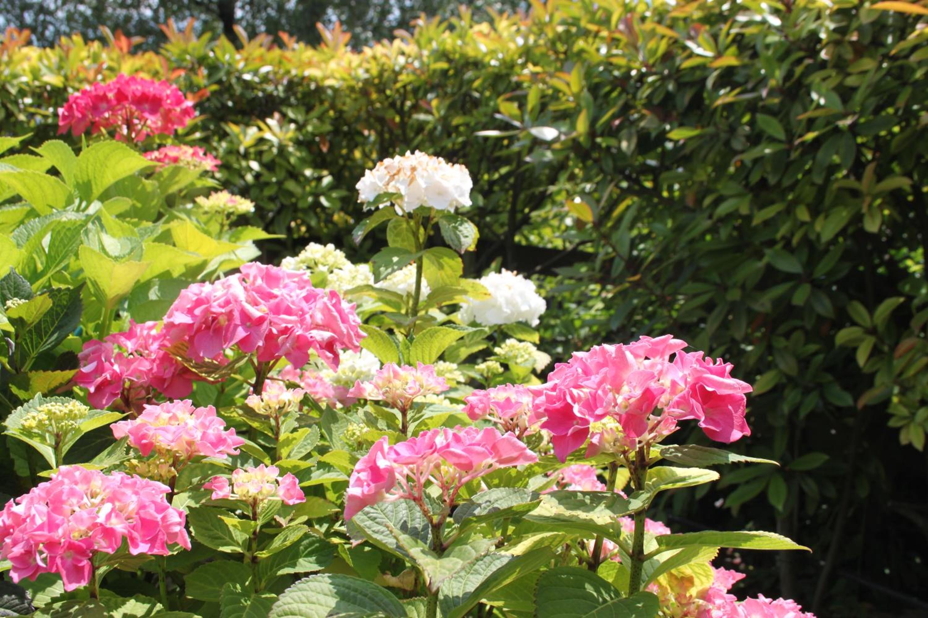 Double Room with Private External Bathroom - Photo 31