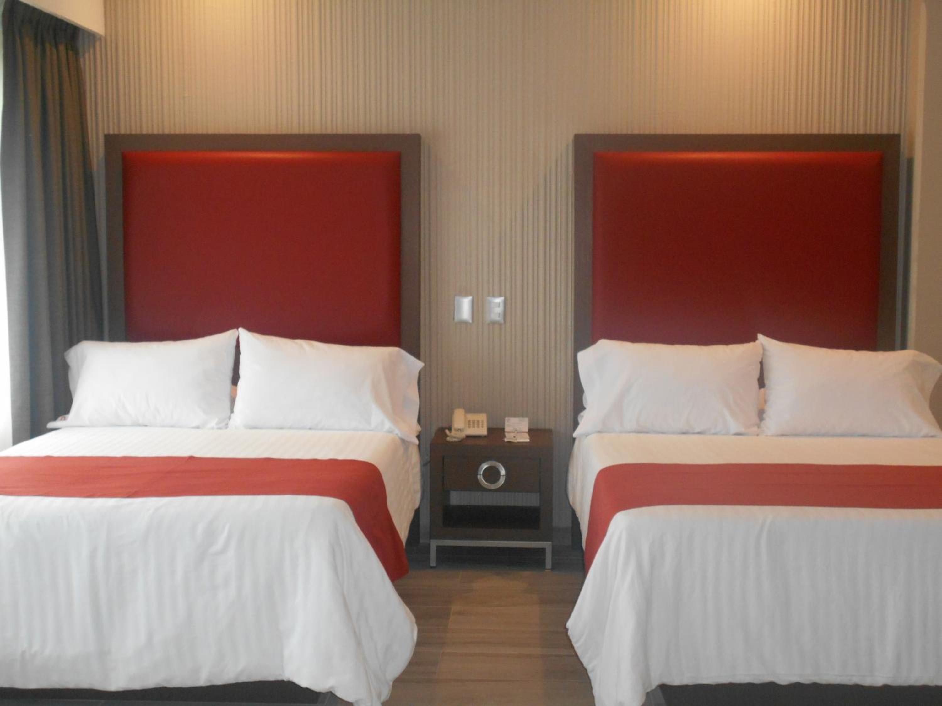 Standard Double Suite photo 1