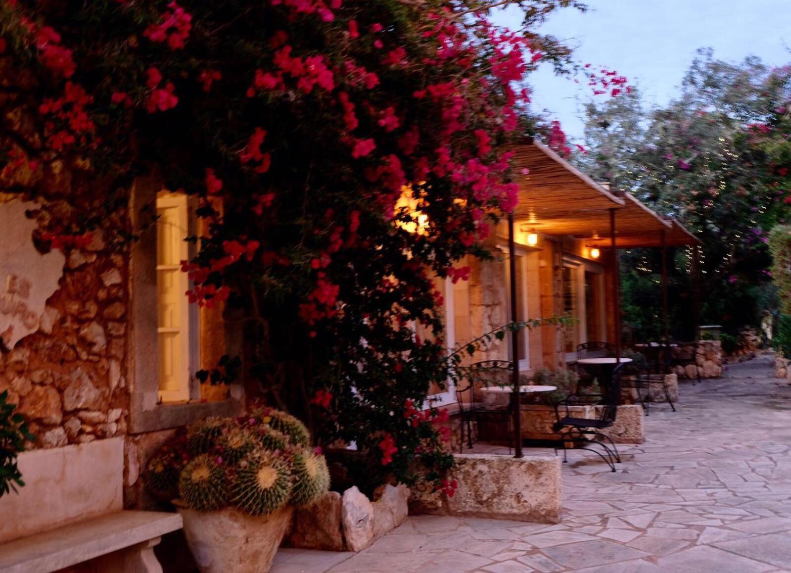 Double Room with Terrace and Spa Access photo 2