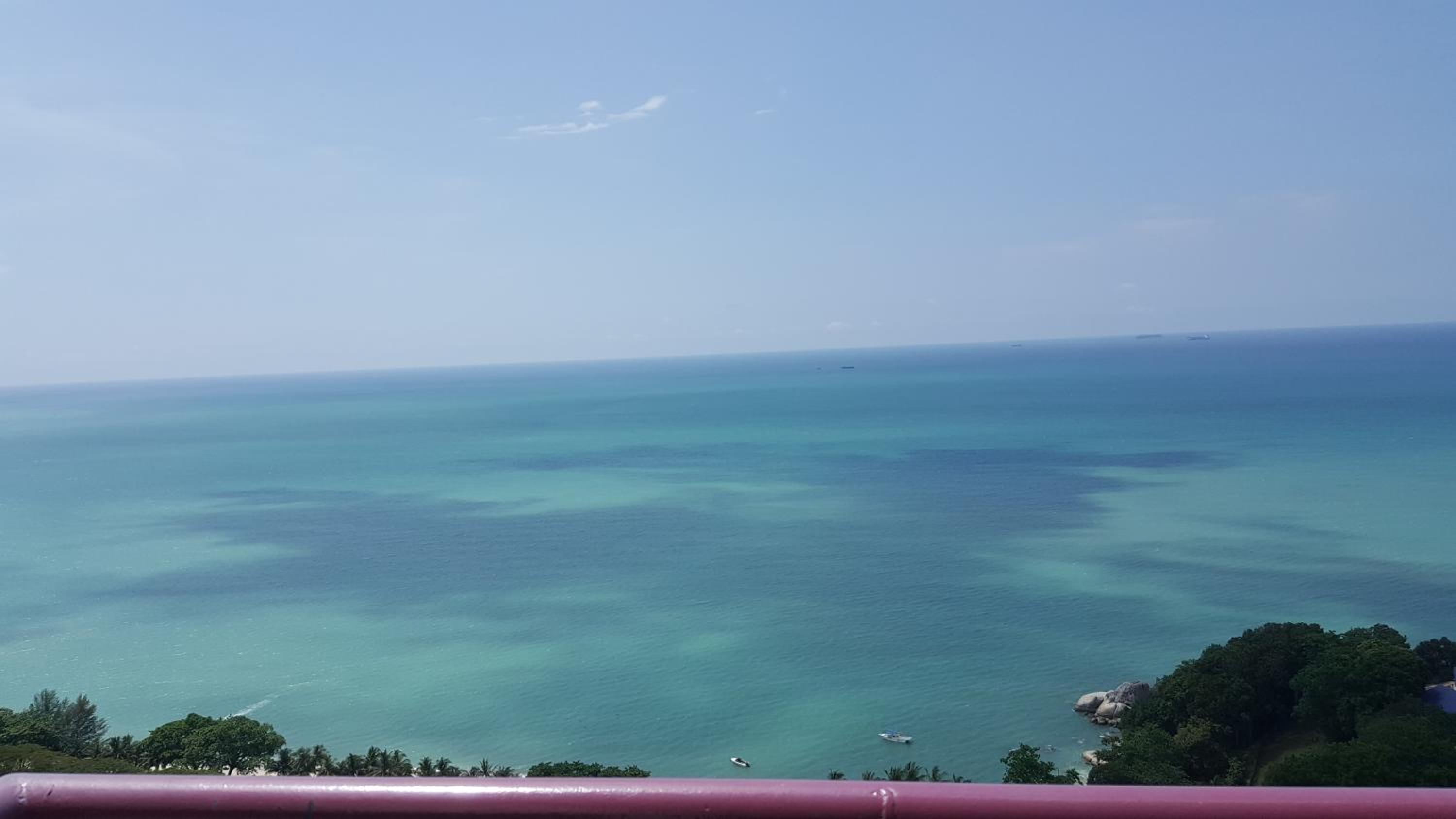 Apartment with Sea View photo 2