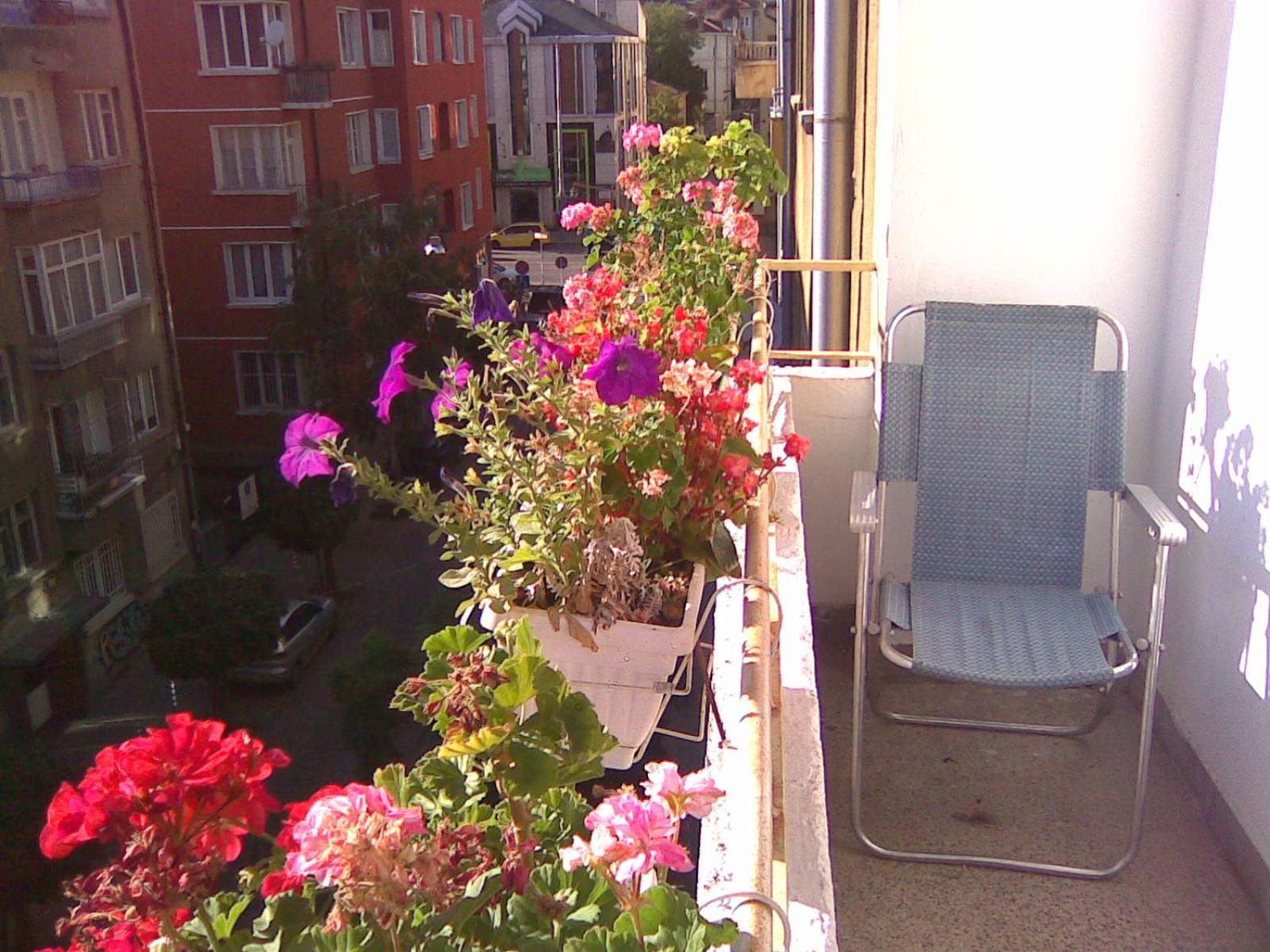 Apartment with Balcony - Photo 33