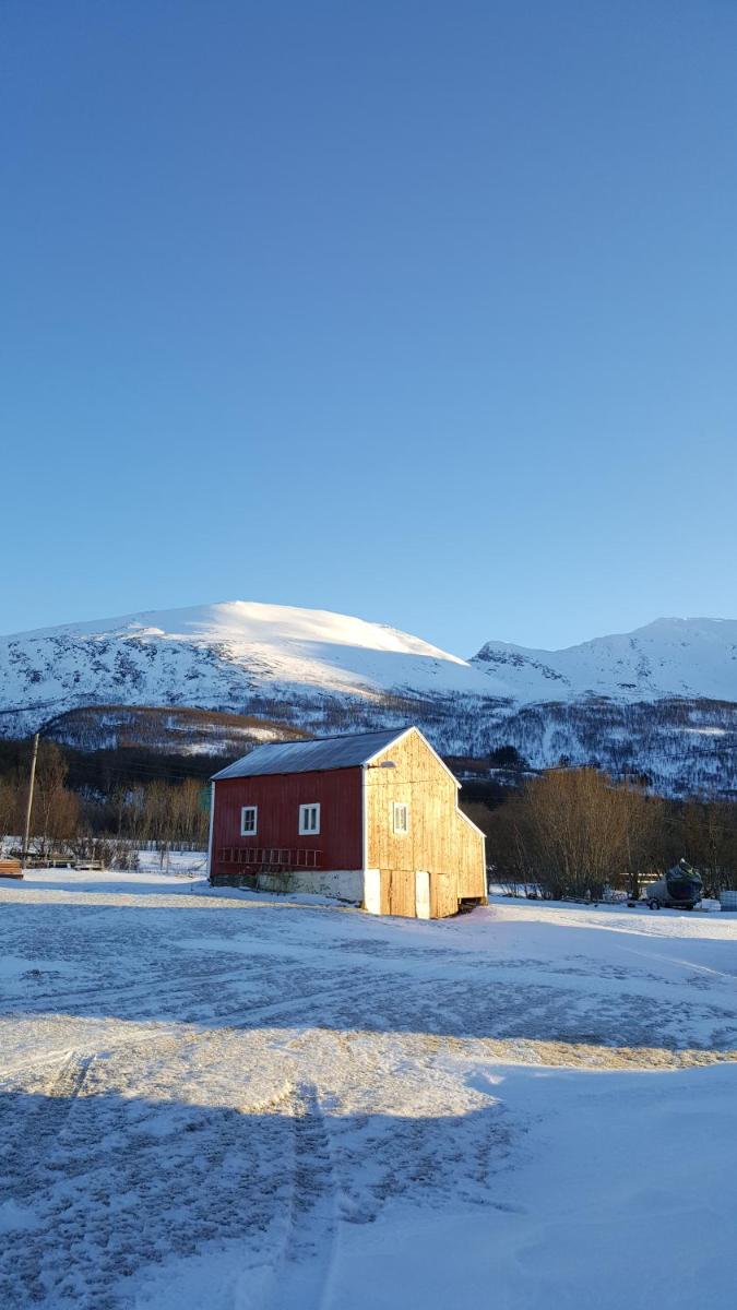 Holiday Home photo 1