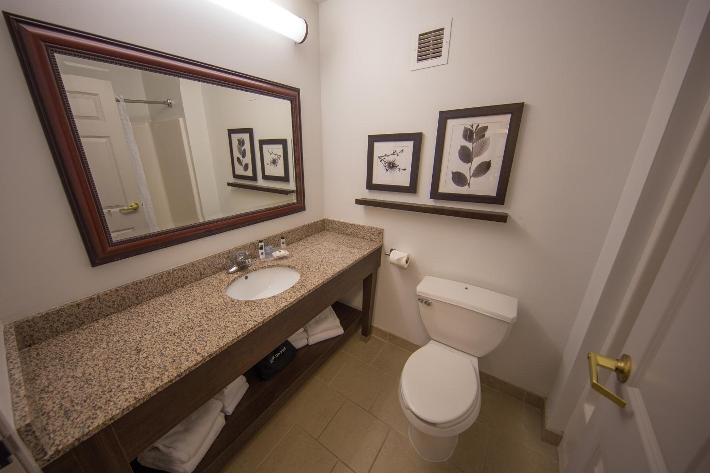 One-Bedroom King Suite - Non-Smoking - Photo 3
