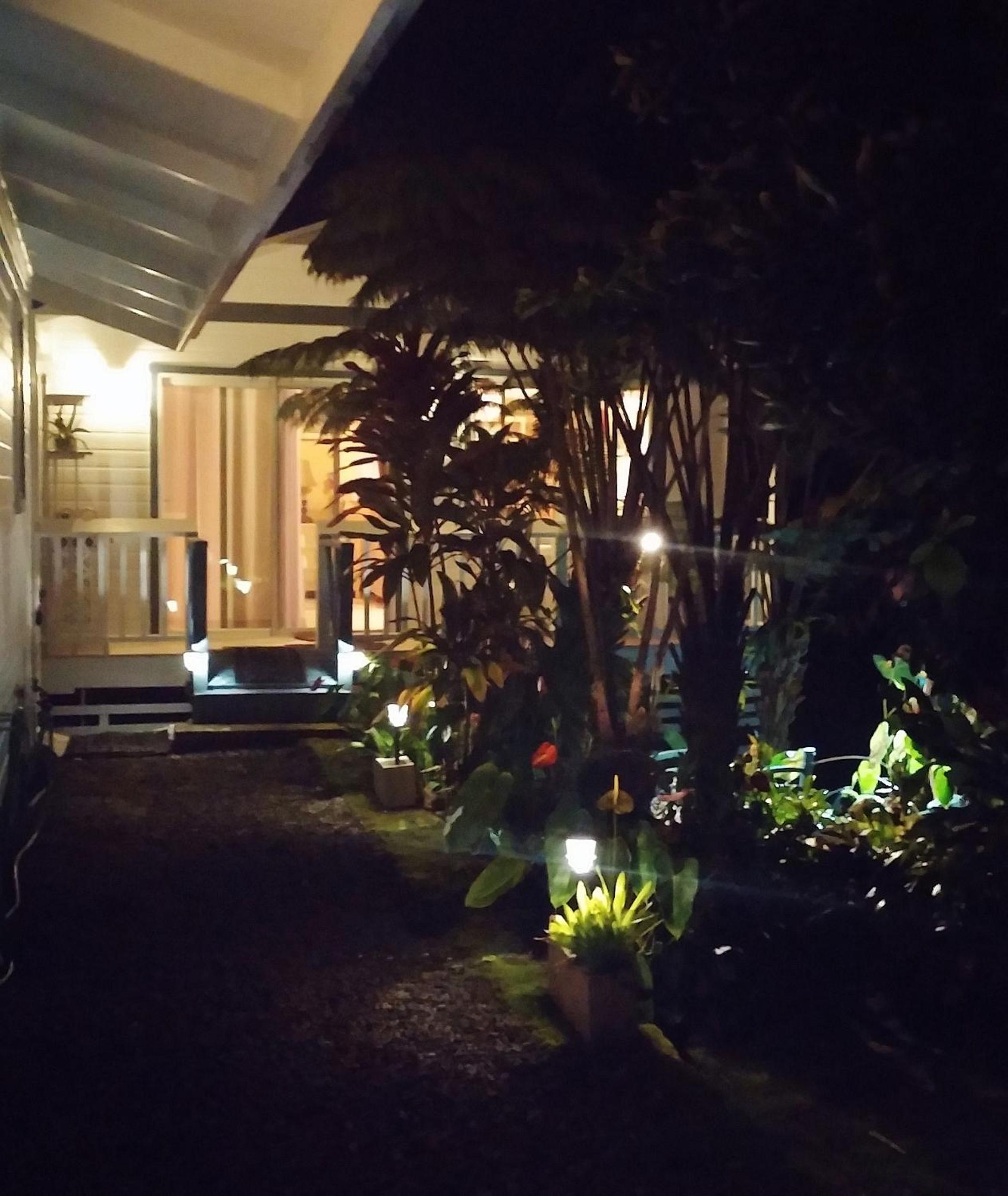 Studio with Garden View photo 2