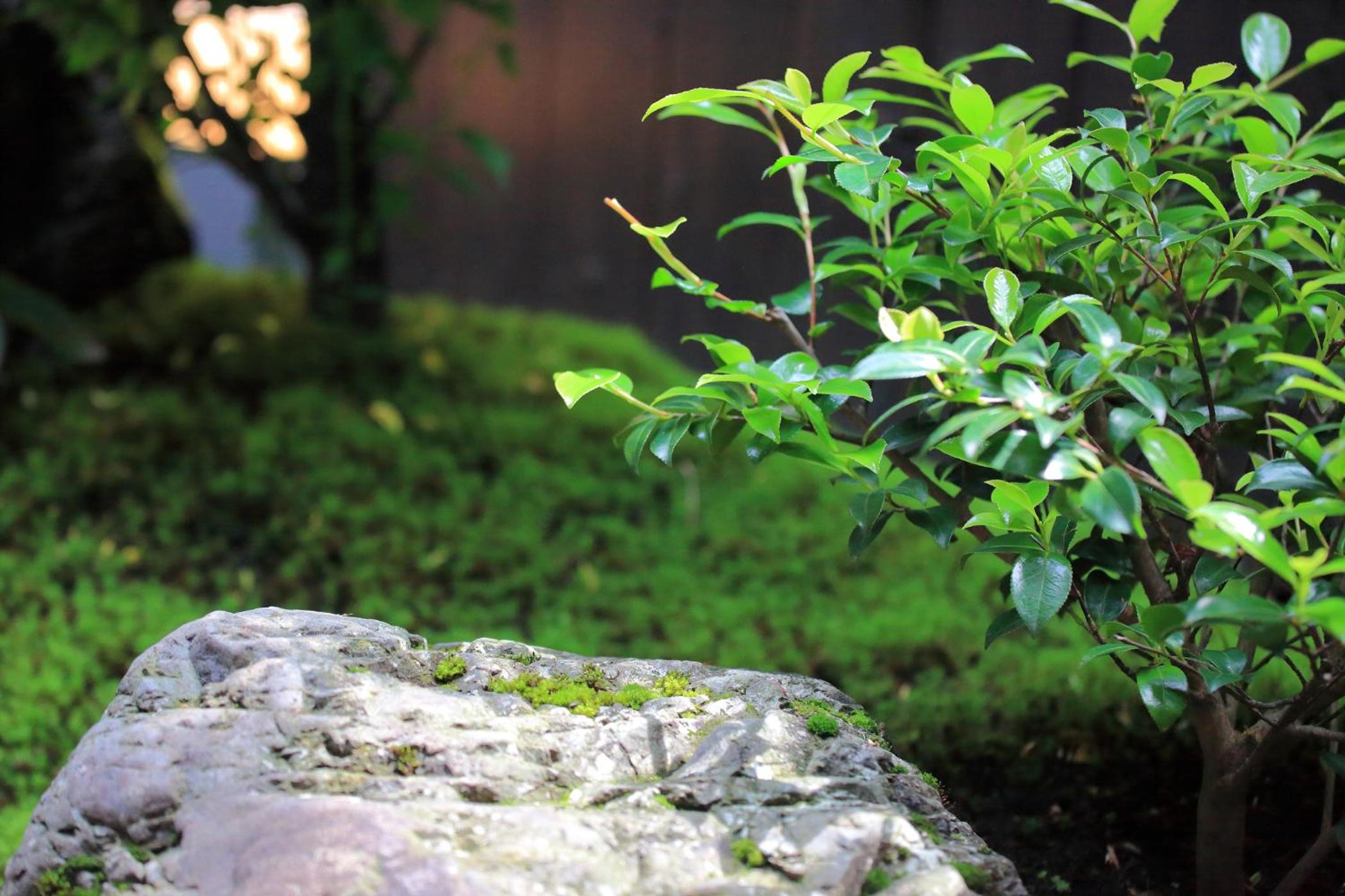 Japanese-Style Townhouse